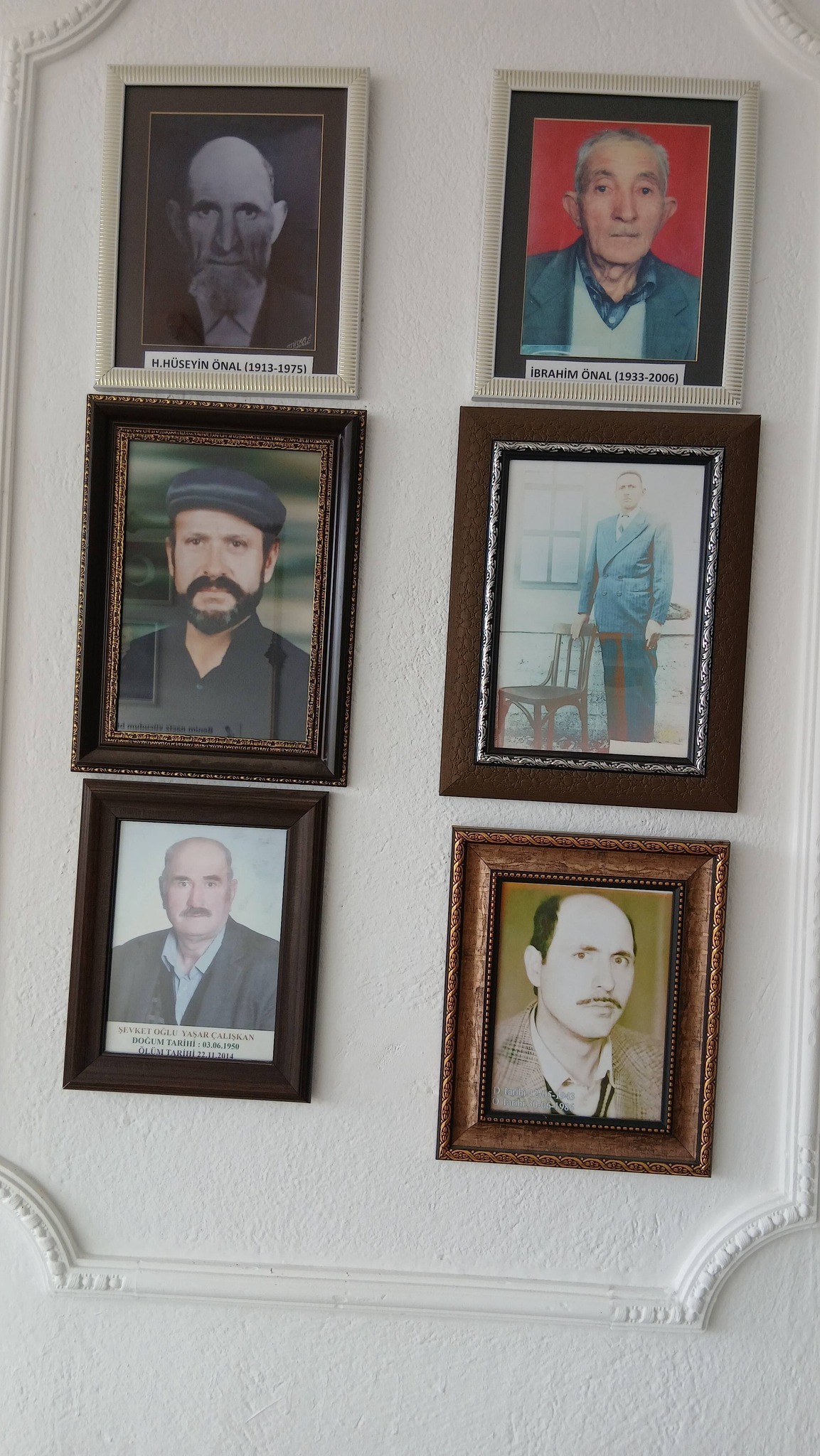 Tepefakılı Köyü’nün Ölümsüz Çınarları 5