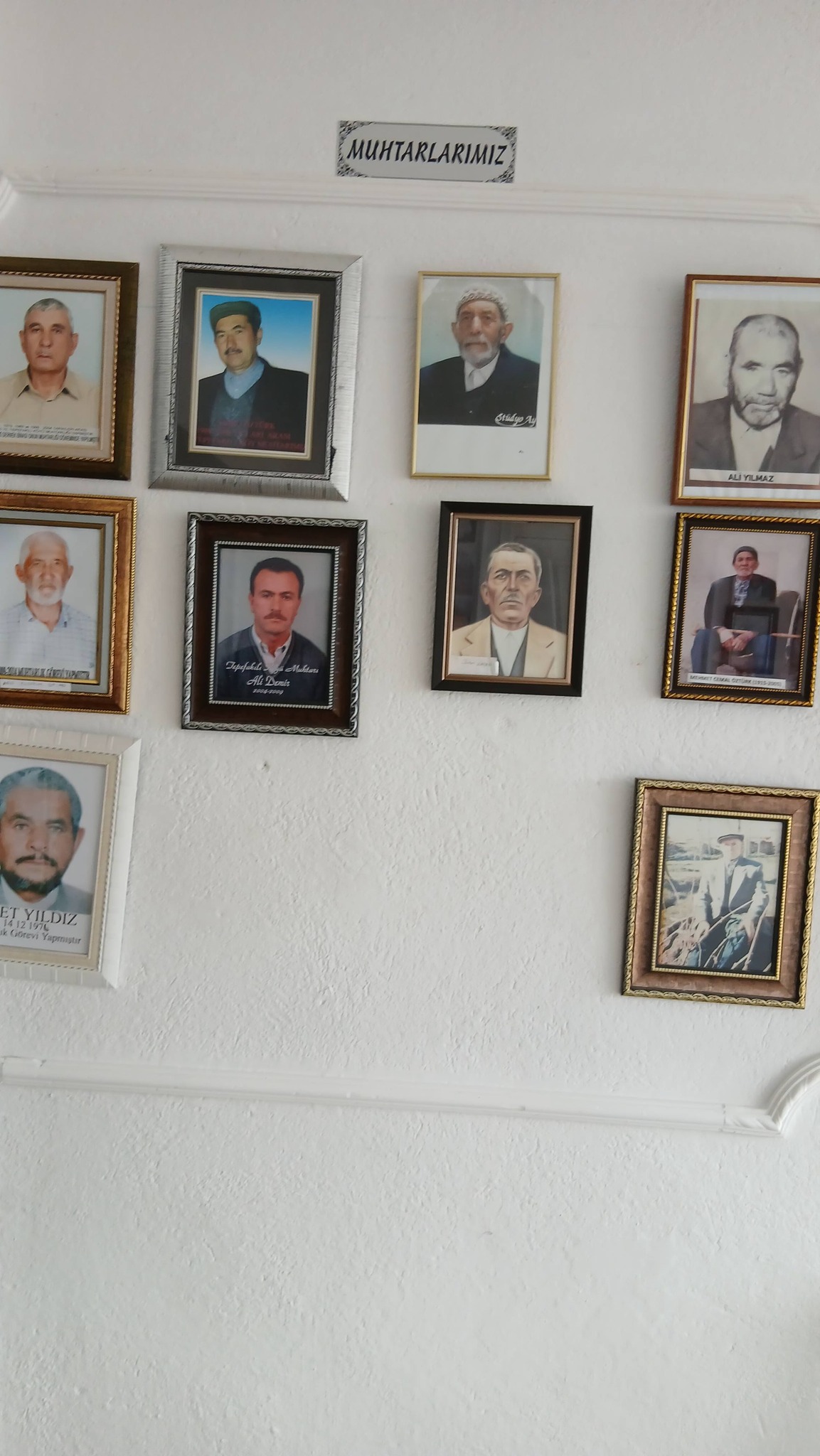 Tepefakılı Köyü’nün Ölümsüz Çınarları