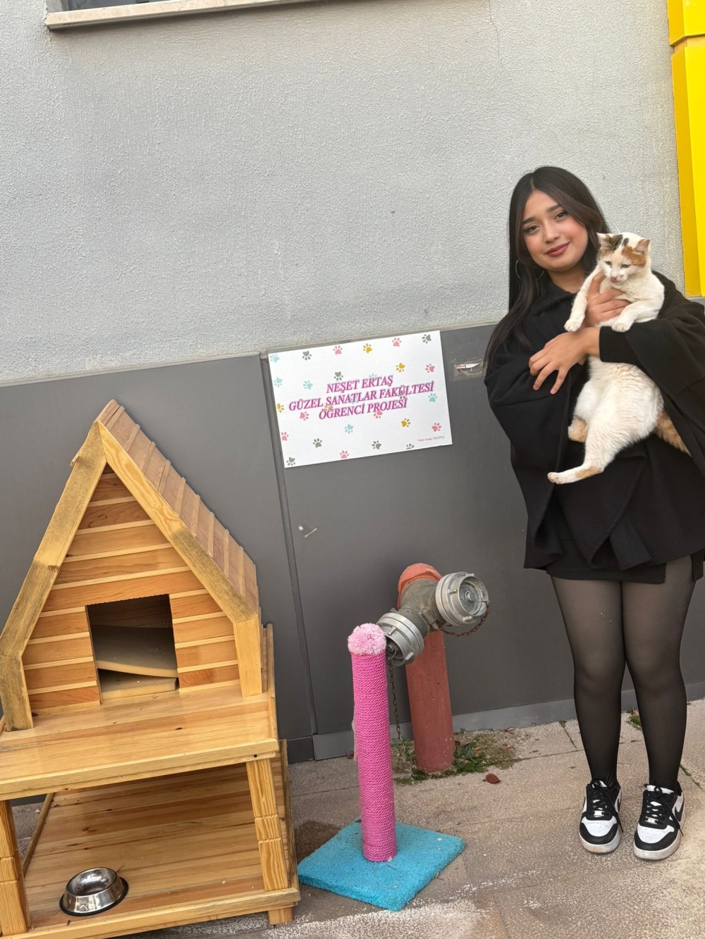 Üniversite Öğrencisinden Sokak Hayvanlarına Sıcak Bir Dokunuş1