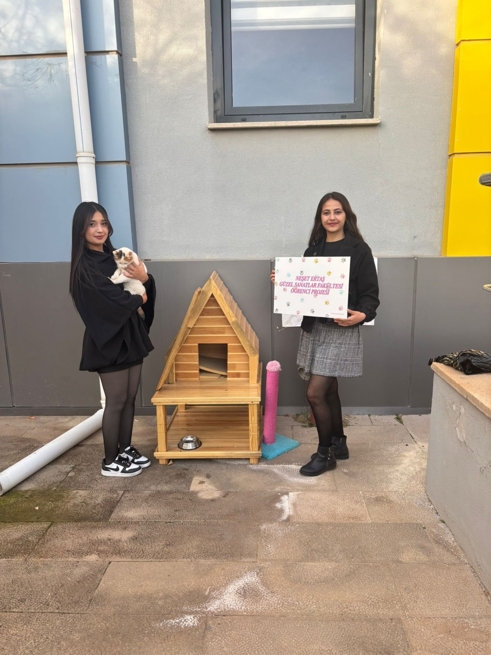 Üniversite Öğrencisinden Sokak Hayvanlarına Sıcak Bir Dokunuş3