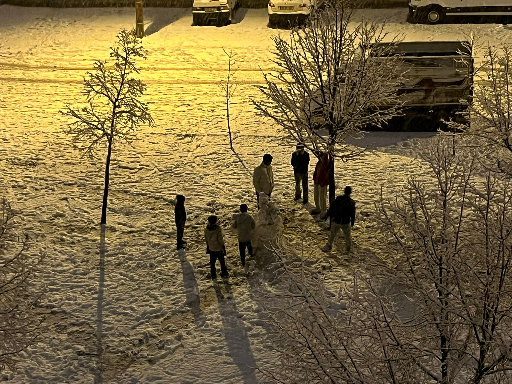 017237B5 13Ff 4935 9D1F 7302A67C6Bce