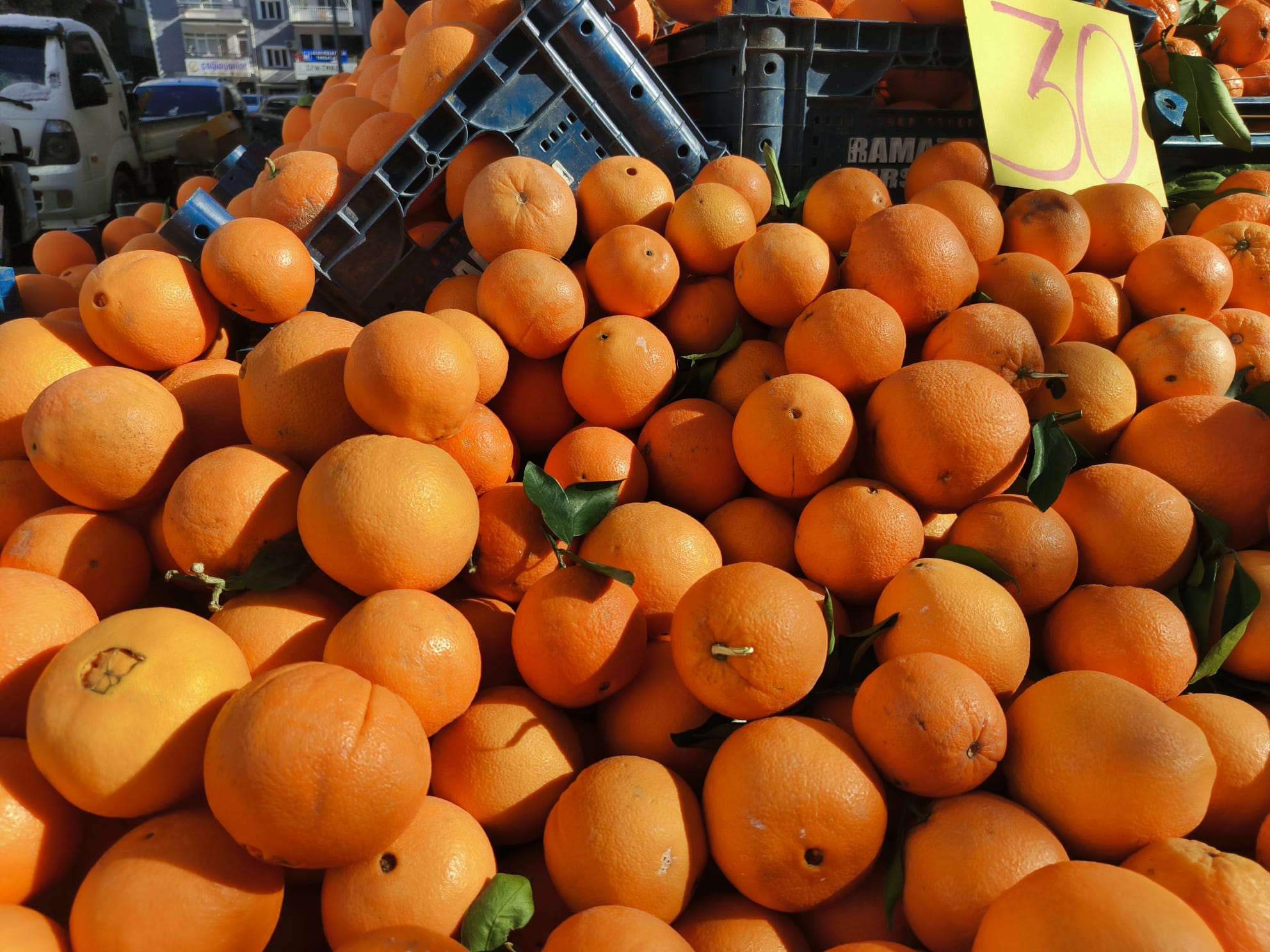 0D05E3Bd 0D68 4C6C A627 Cd04C6Ef9Be7