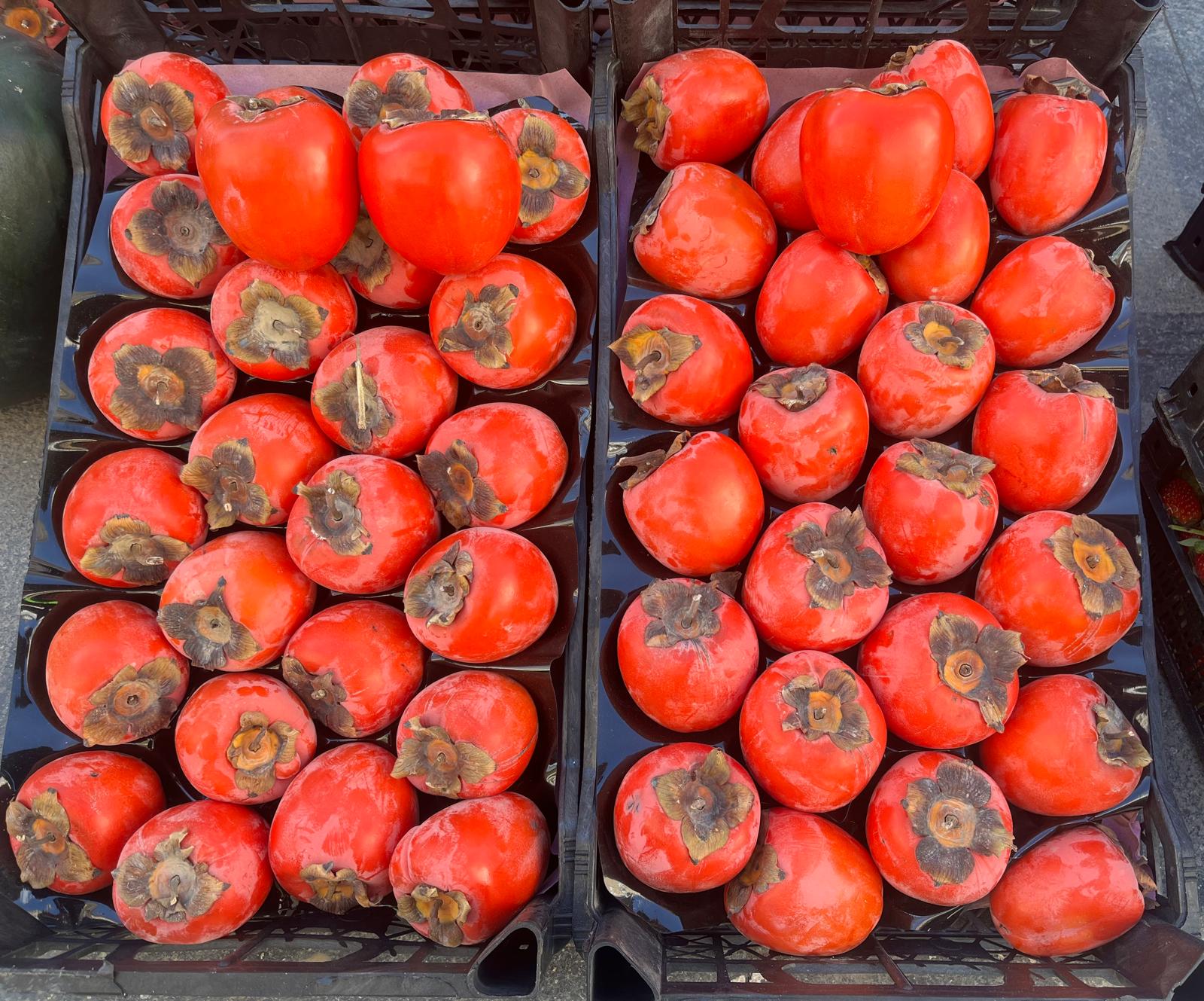 1F217028 02A4 4C70 Bfc9 9B7E329Ee8B5