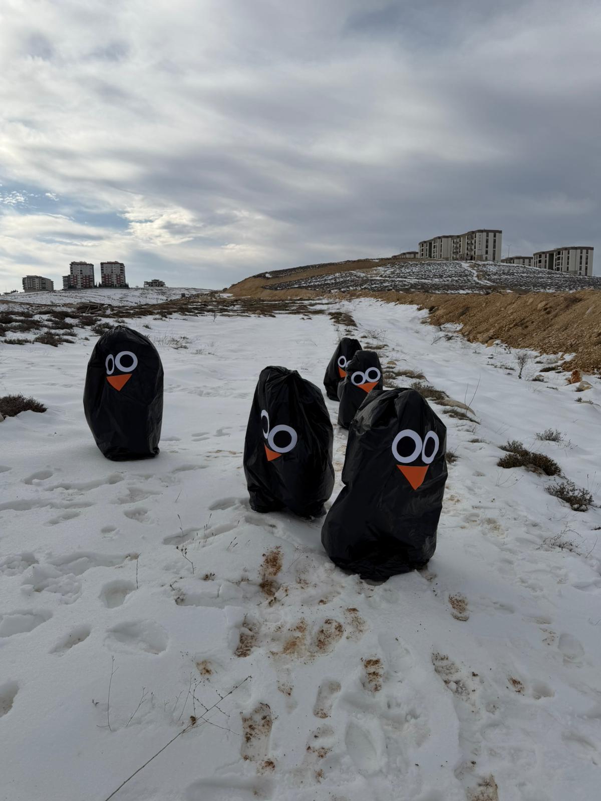 294Bc860 B3D1 43Dd A6E3 2Eef0Bf02A47