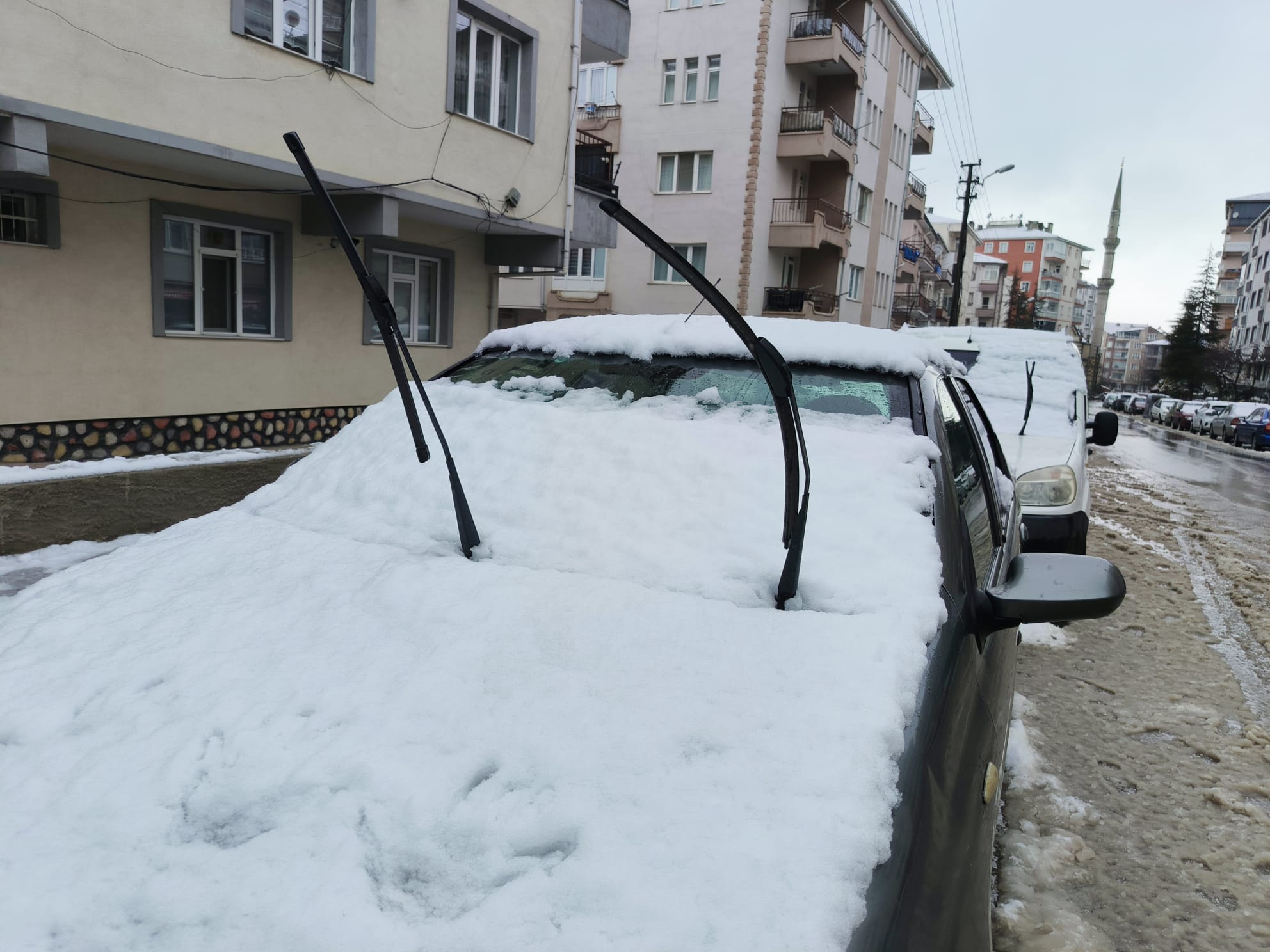 29Ce7D4D Cc79 4425 8889 2498838A1412