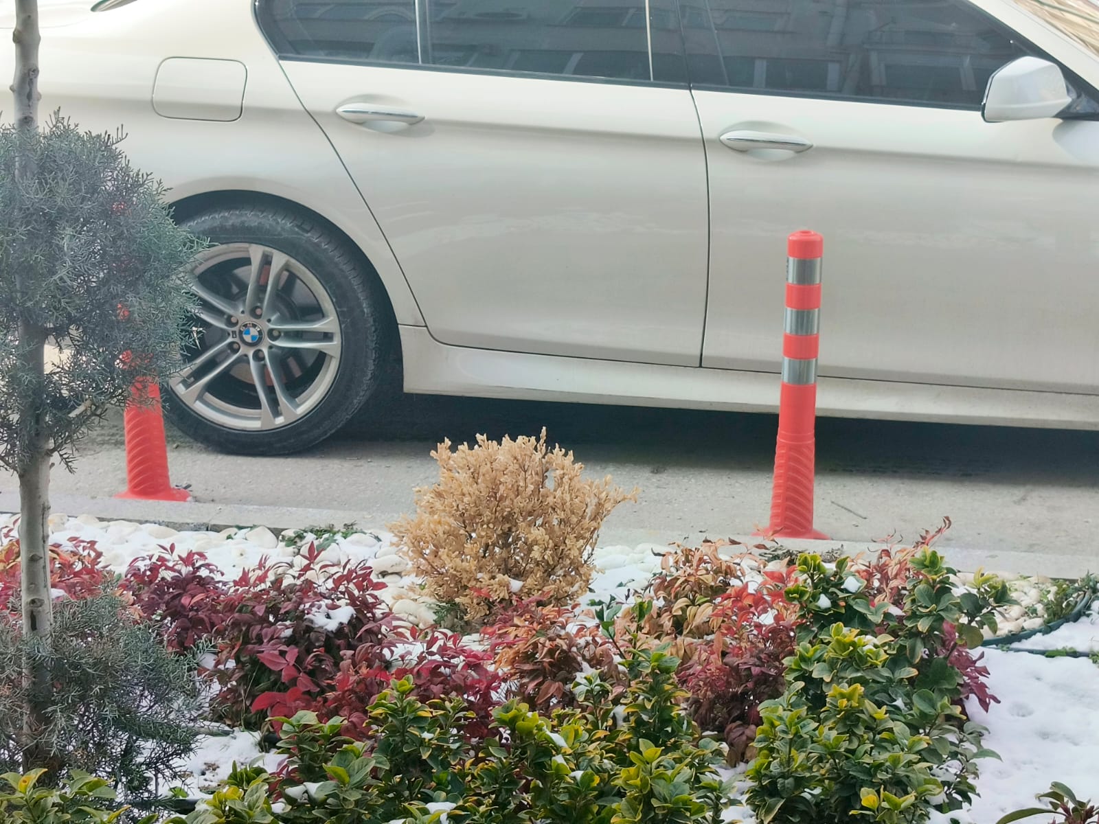 37F70830 2Af2 47De 98C6 E9312C4F6Cd9