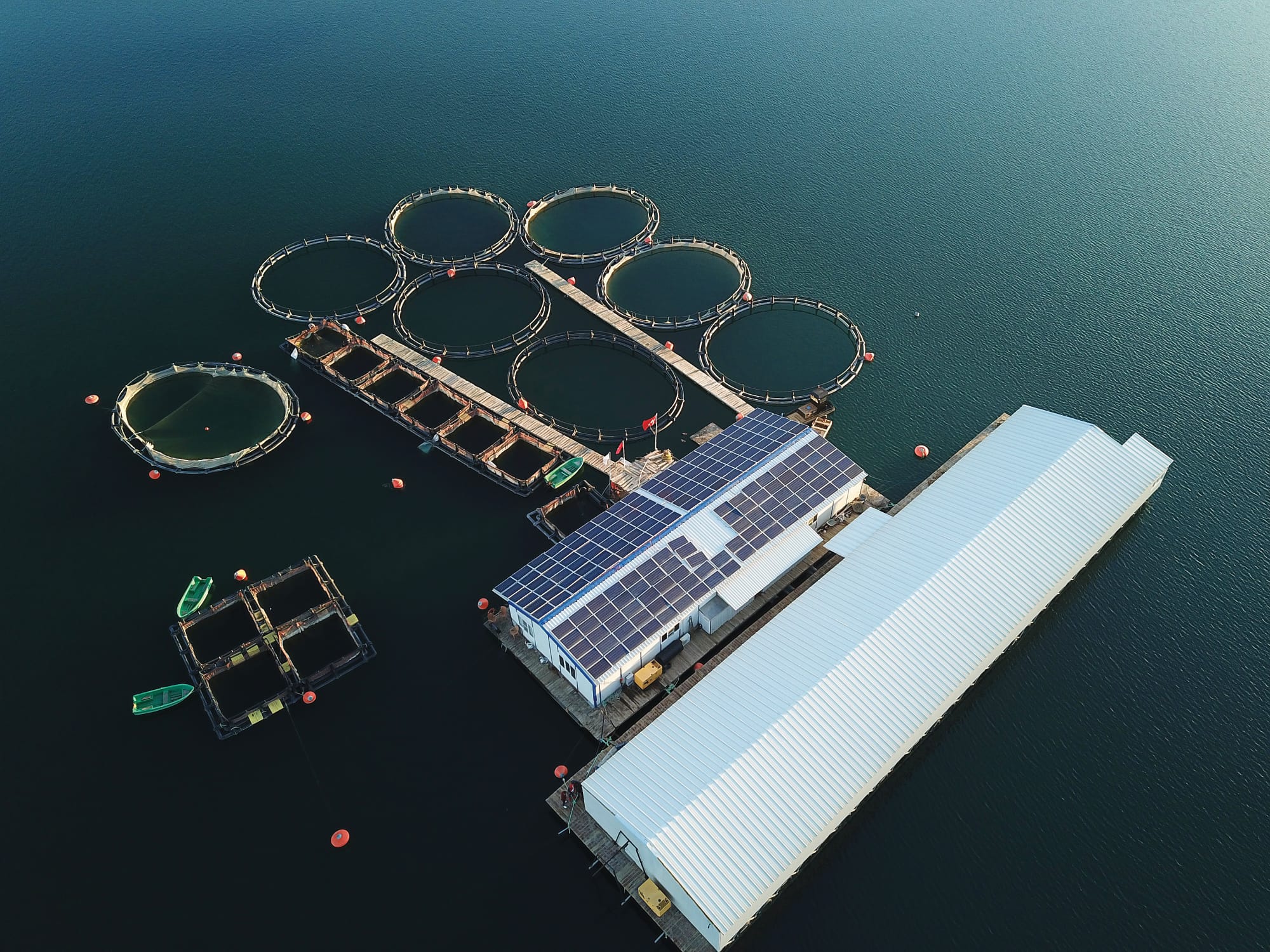 3E24E2C0 57C0 429A 994F De13D4F9Ba69