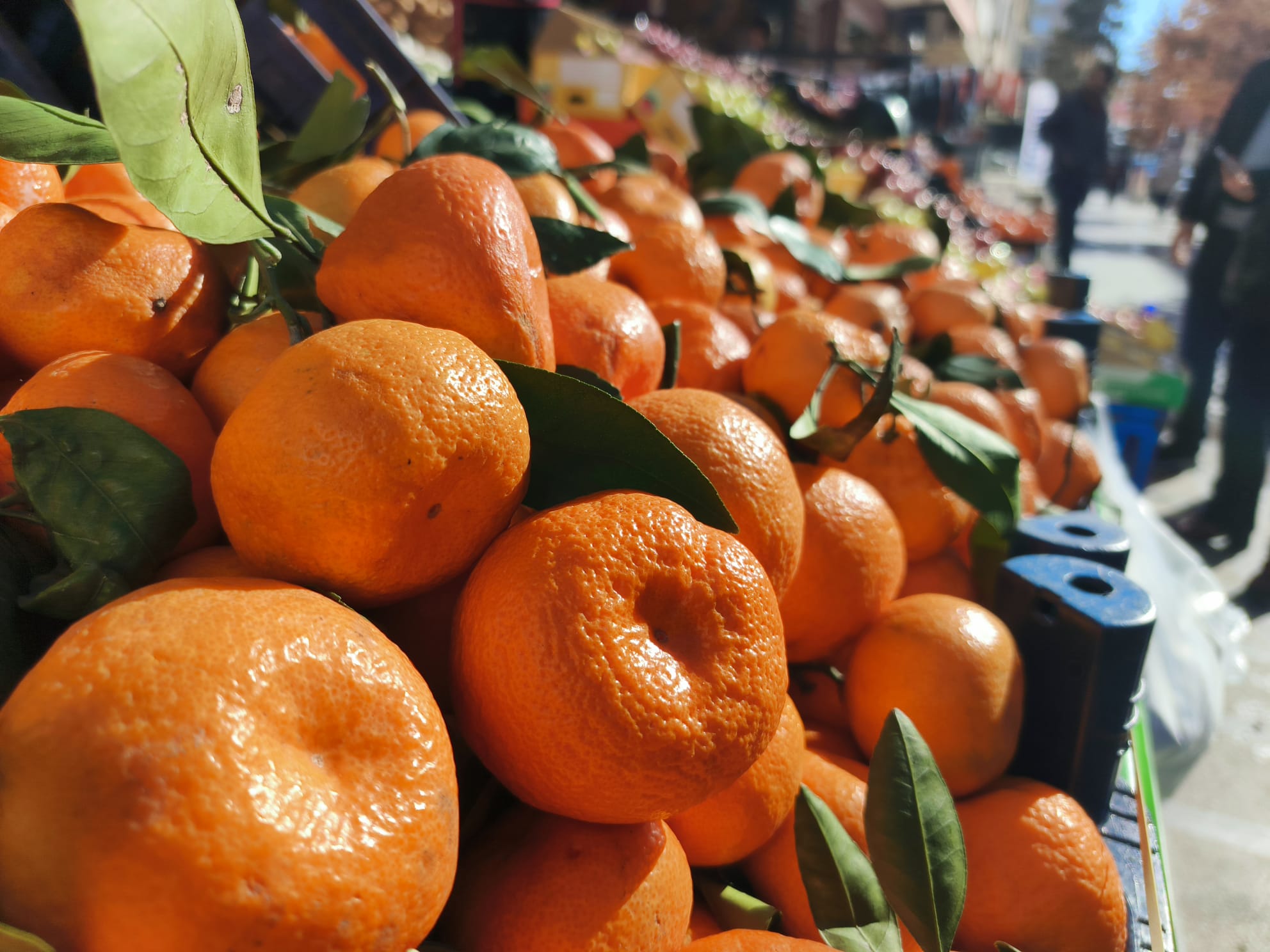 3F132D90 43A3 4795 8D59 6Ec8A21F059D