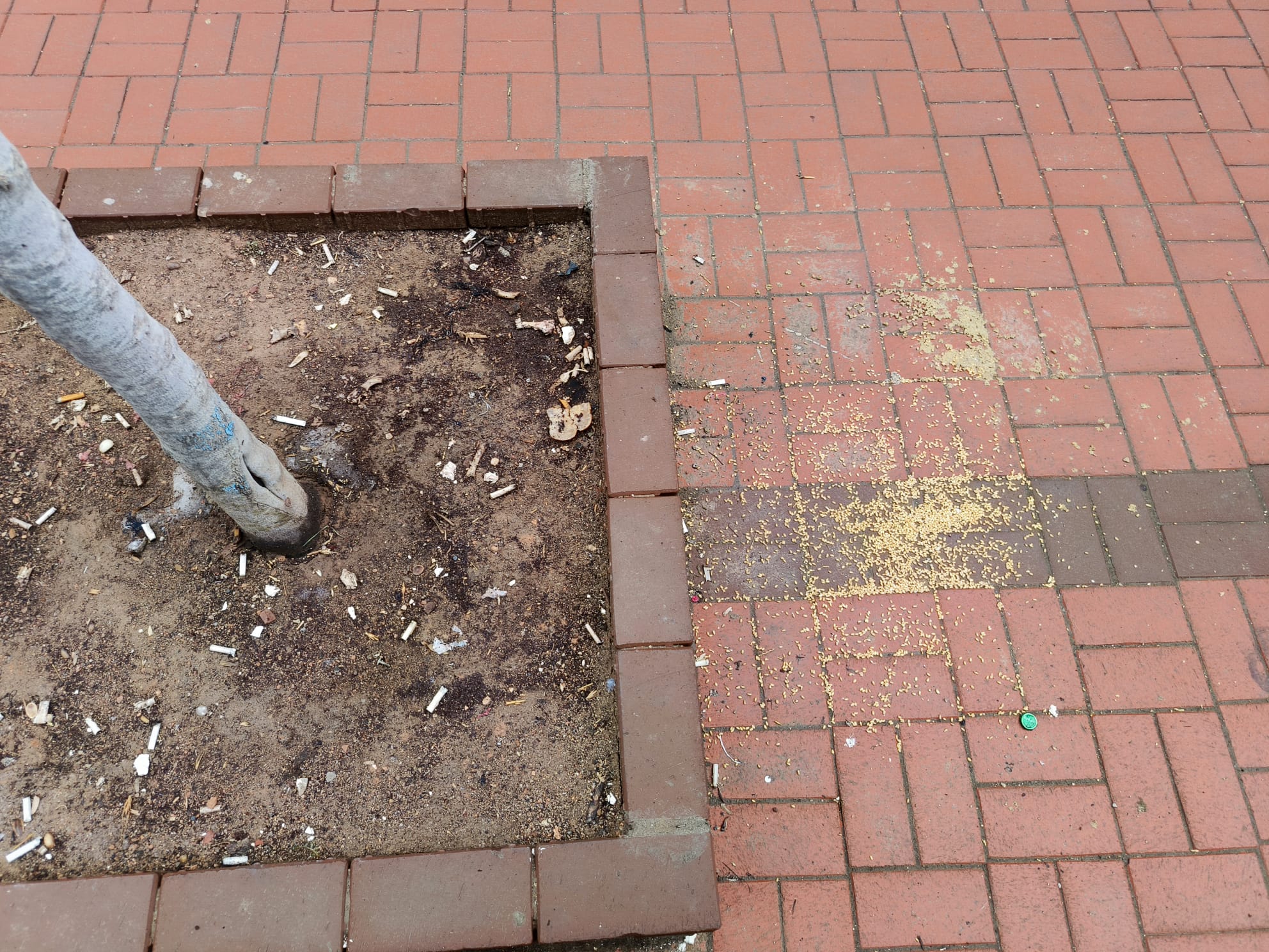 401A1E27 3A0B 4E33 8467 2Aacc2F80252