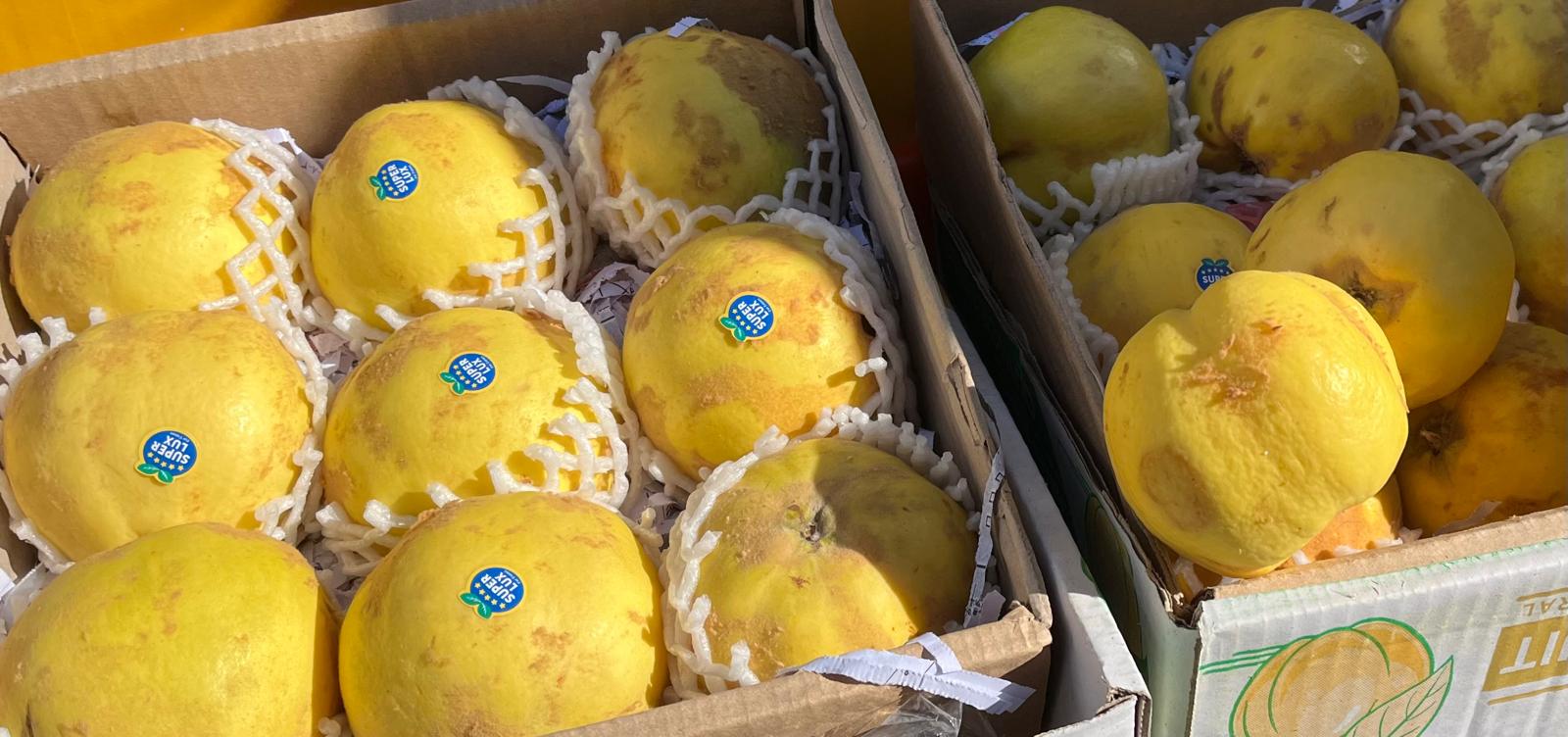 40Ad6A1E Aaae 474D 874F 9A0F6004F7B9