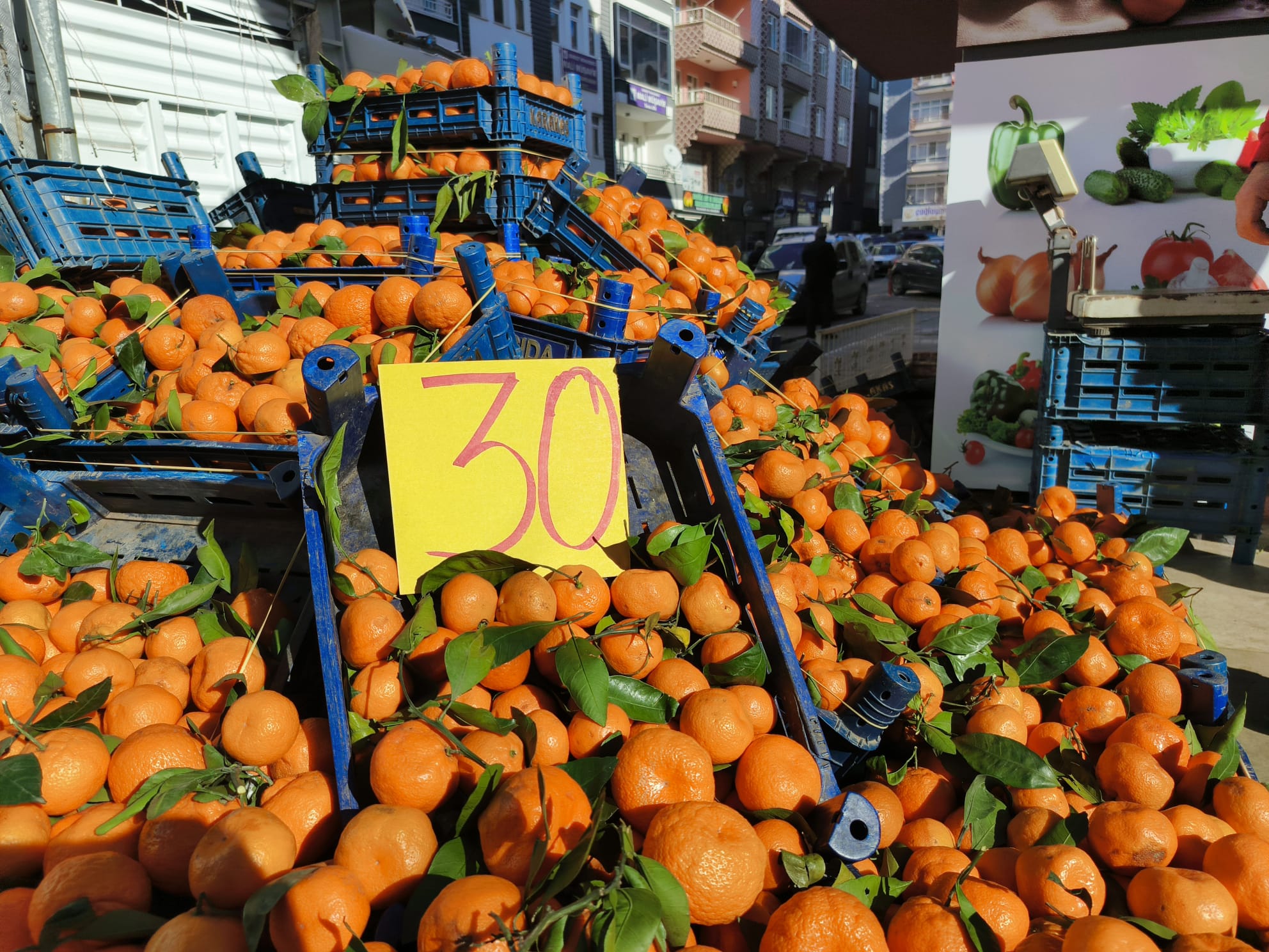 448C3Cdf 8E90 4E93 8Ae3 E16E12092166