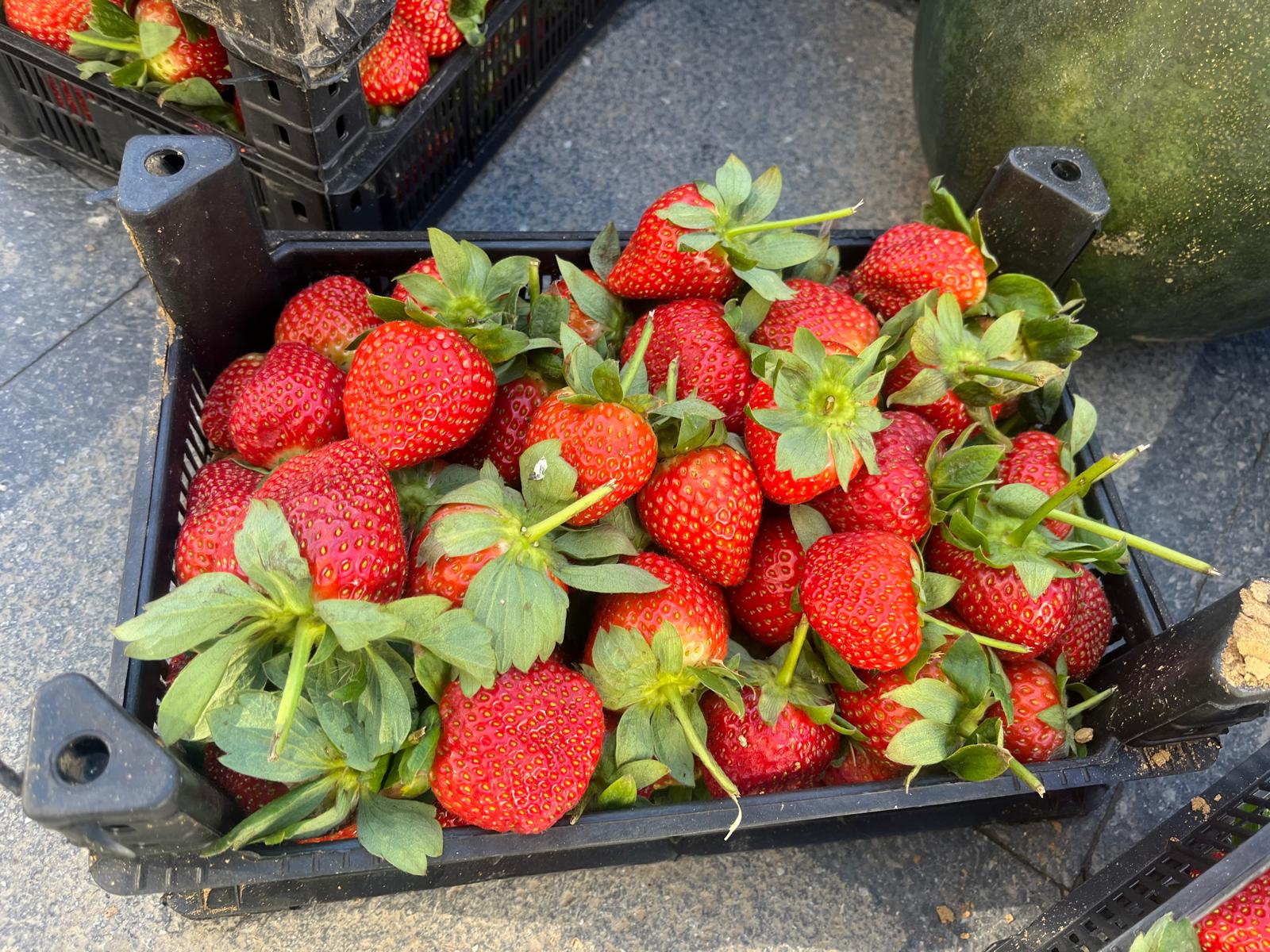 5Addf992 D2B7 4A71 B9Bd E756210A6B30