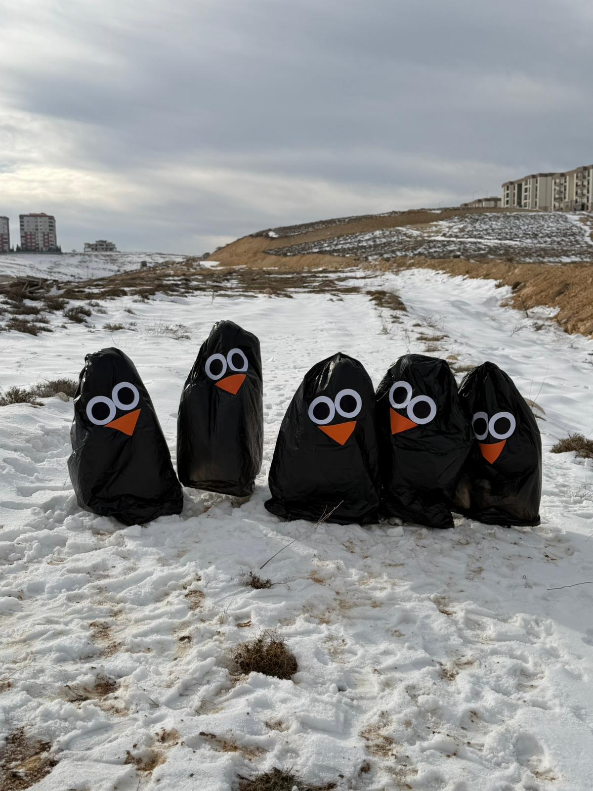 5Df47389 3F67 47E7 9D6D 9Cfd60Cf9B37