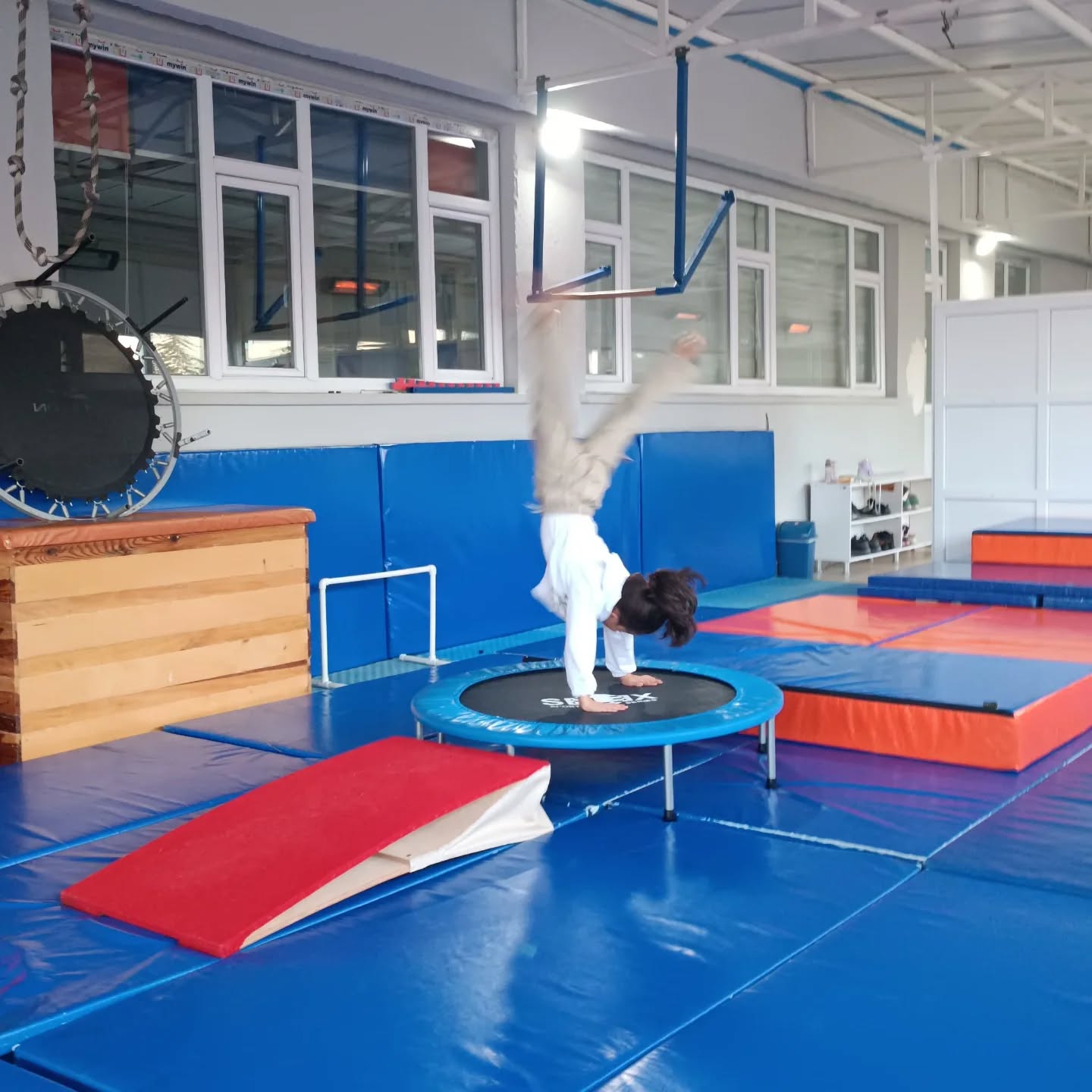 610666198 18341569993231791 1033136076789007121 N