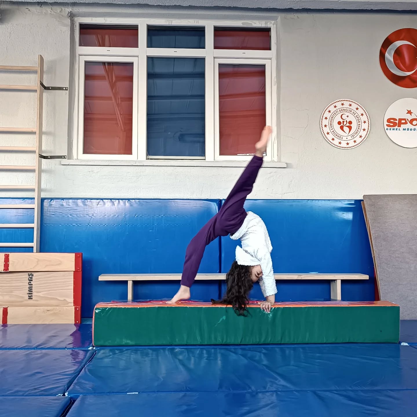 611383997 18341569996231791 1679063777045217600 N