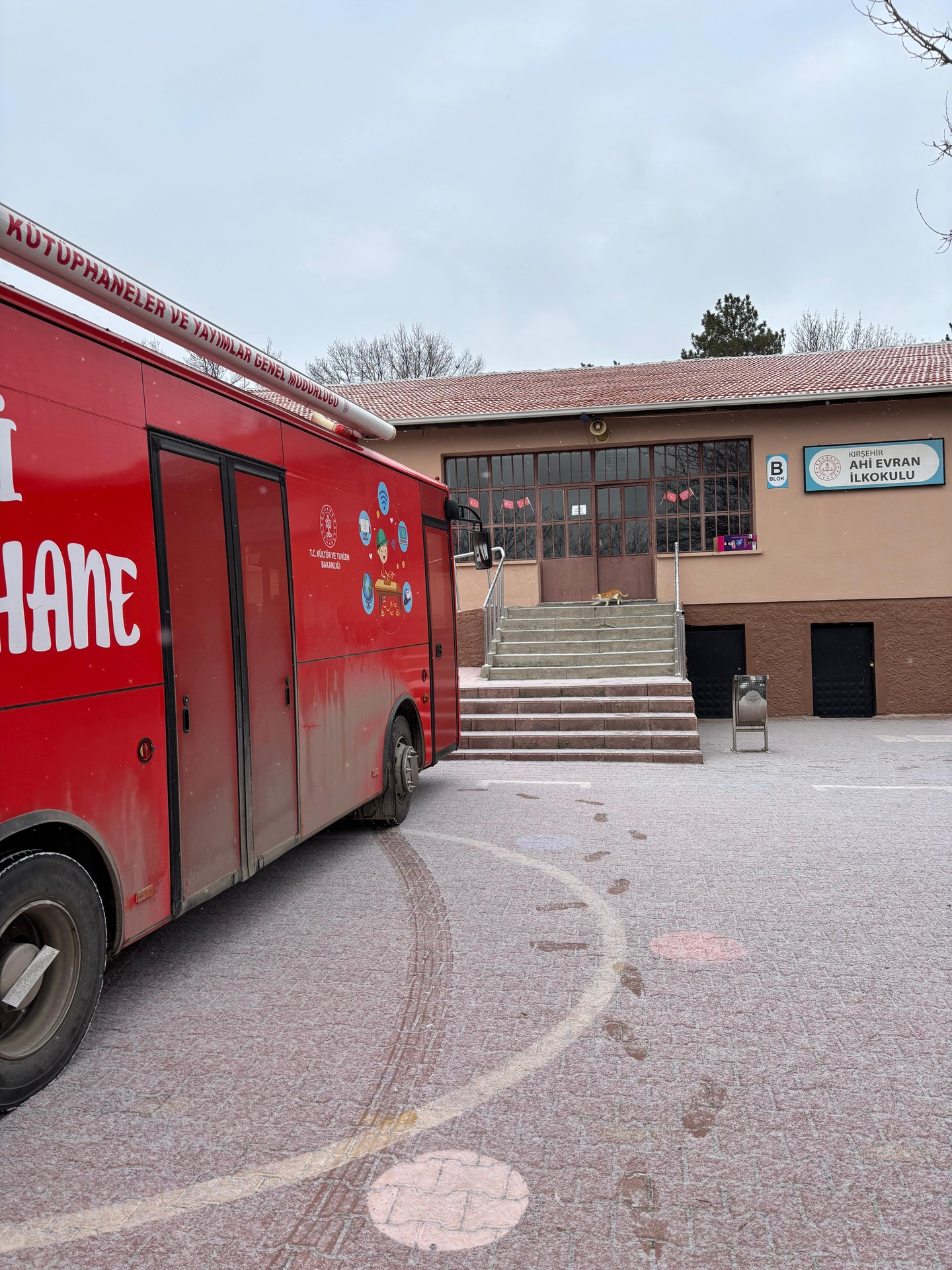 612422596 18355879420207723 8900915106178802705 N