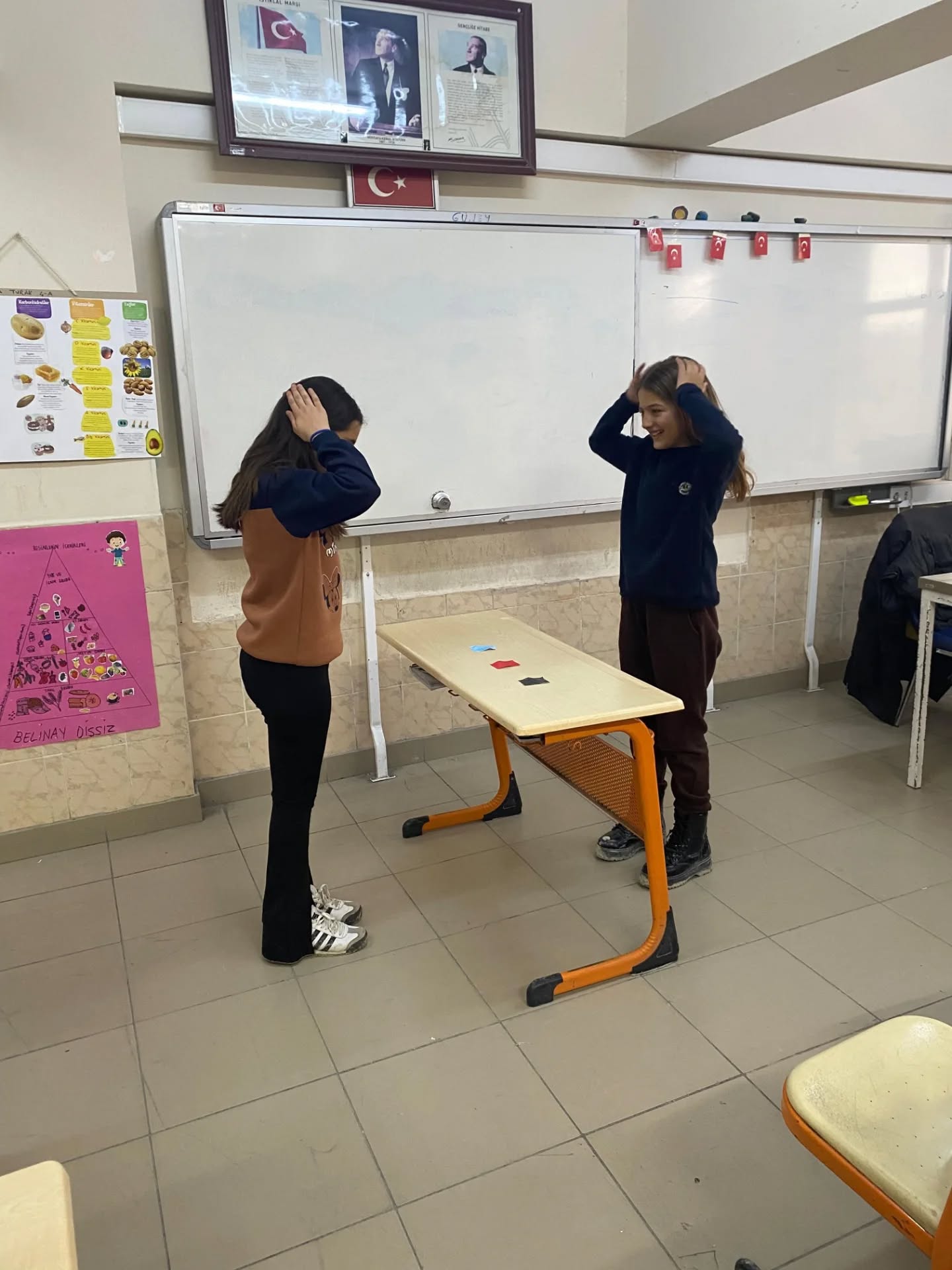 612463097 18342267190231791 6186765682592058793 N