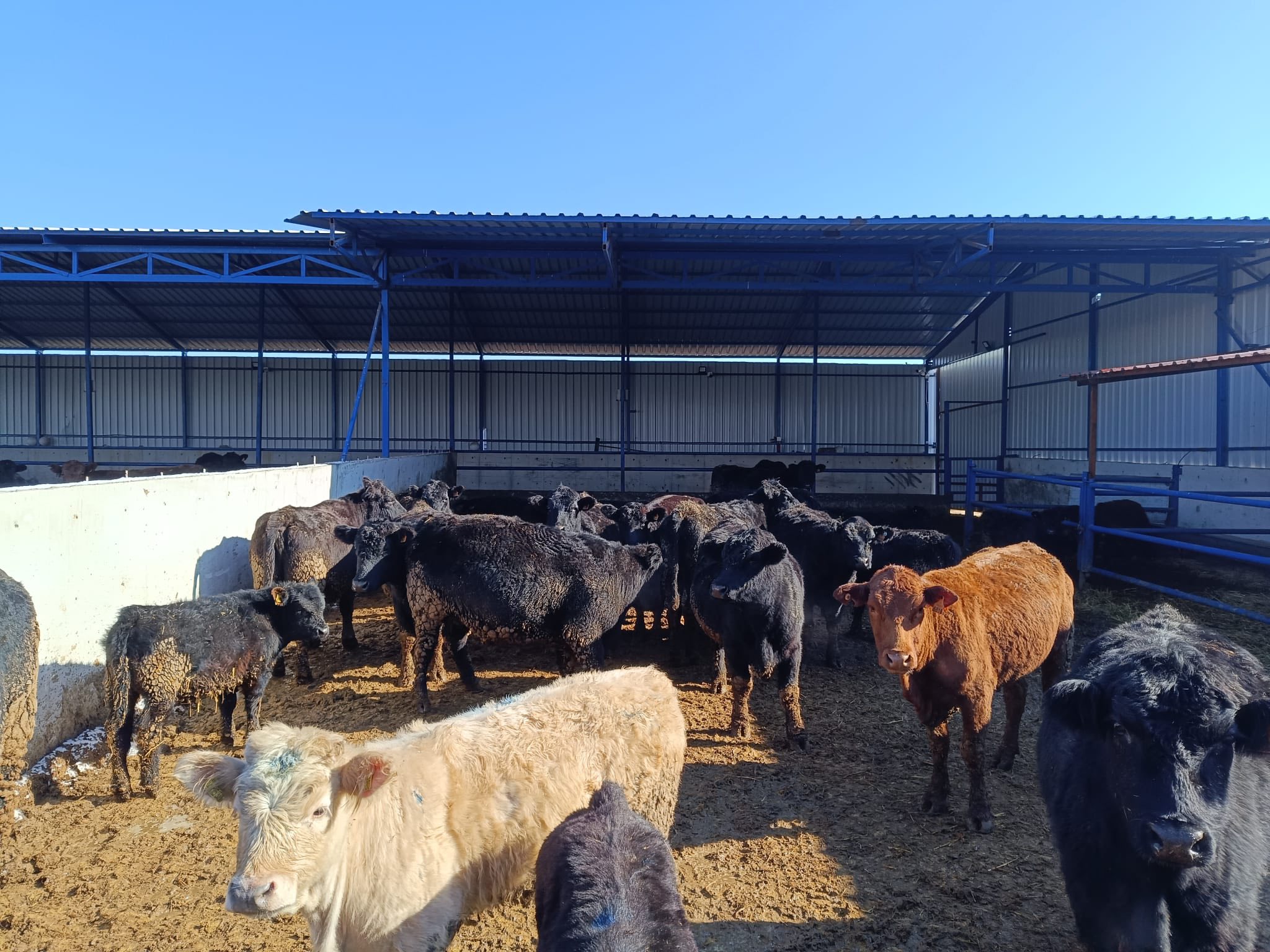 615793451 890434536794644 6399547185354417239 N