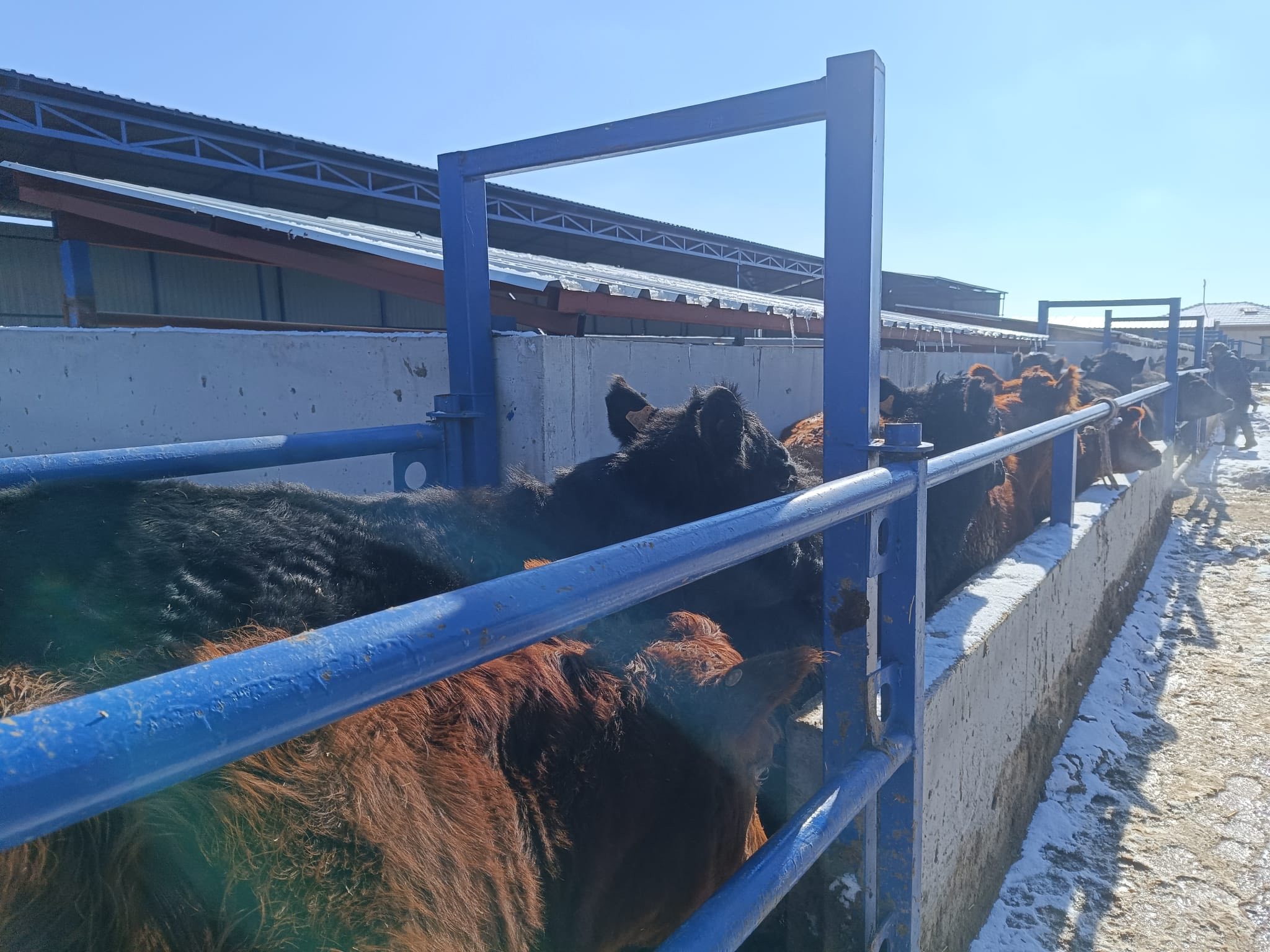 615976892 890434560127975 4364449822794792376 N