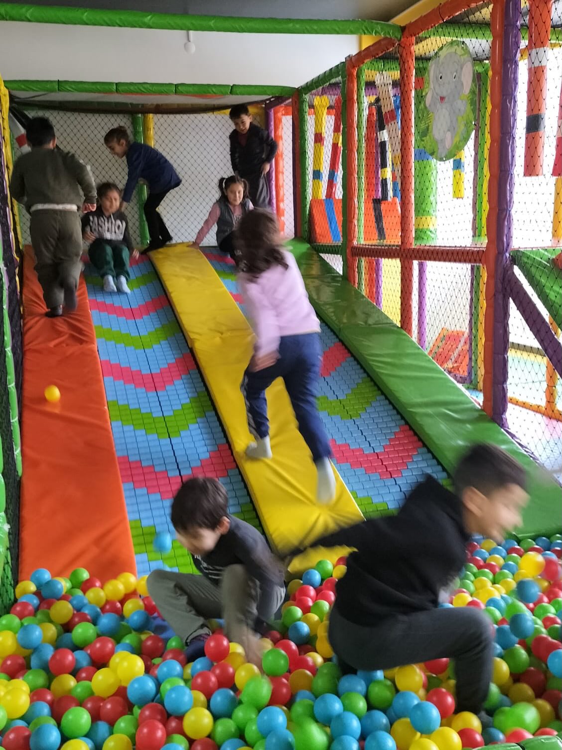 616011132 17971267497004141 3030334247599334923 N