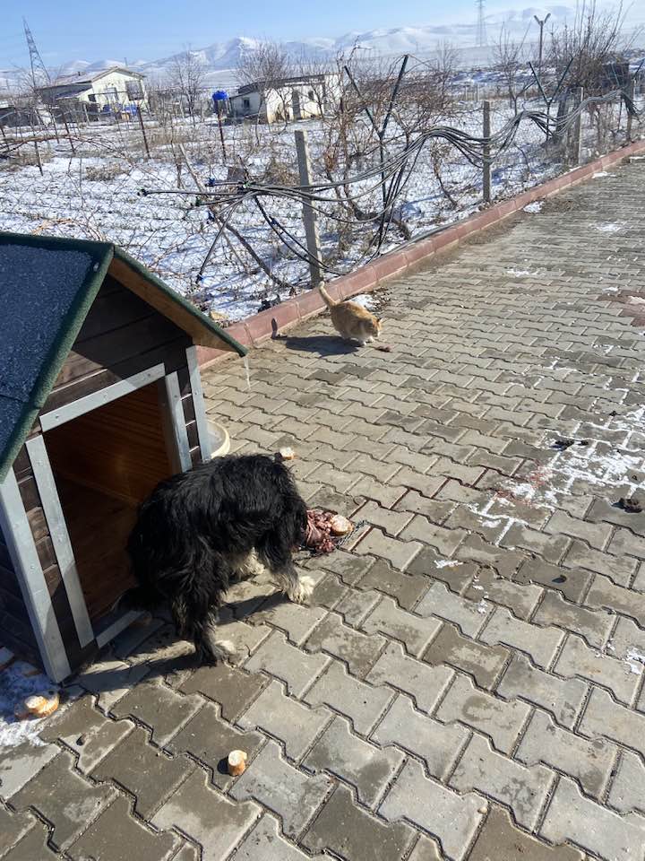 616344587 4105484836371269 1820409615408517359 N