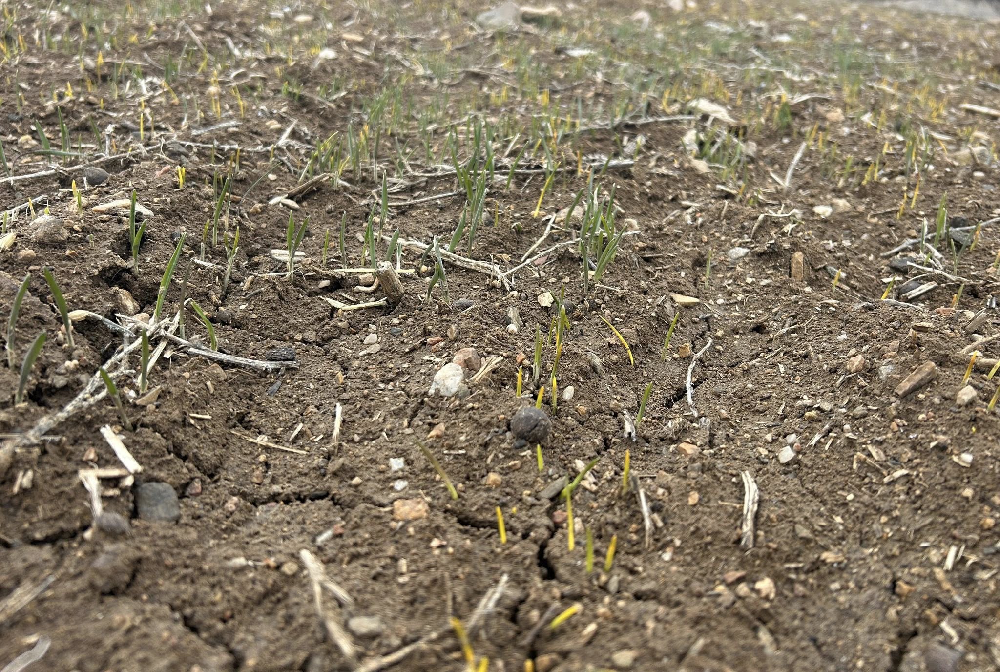 616821569 891940153310749 6404043485025145909 N