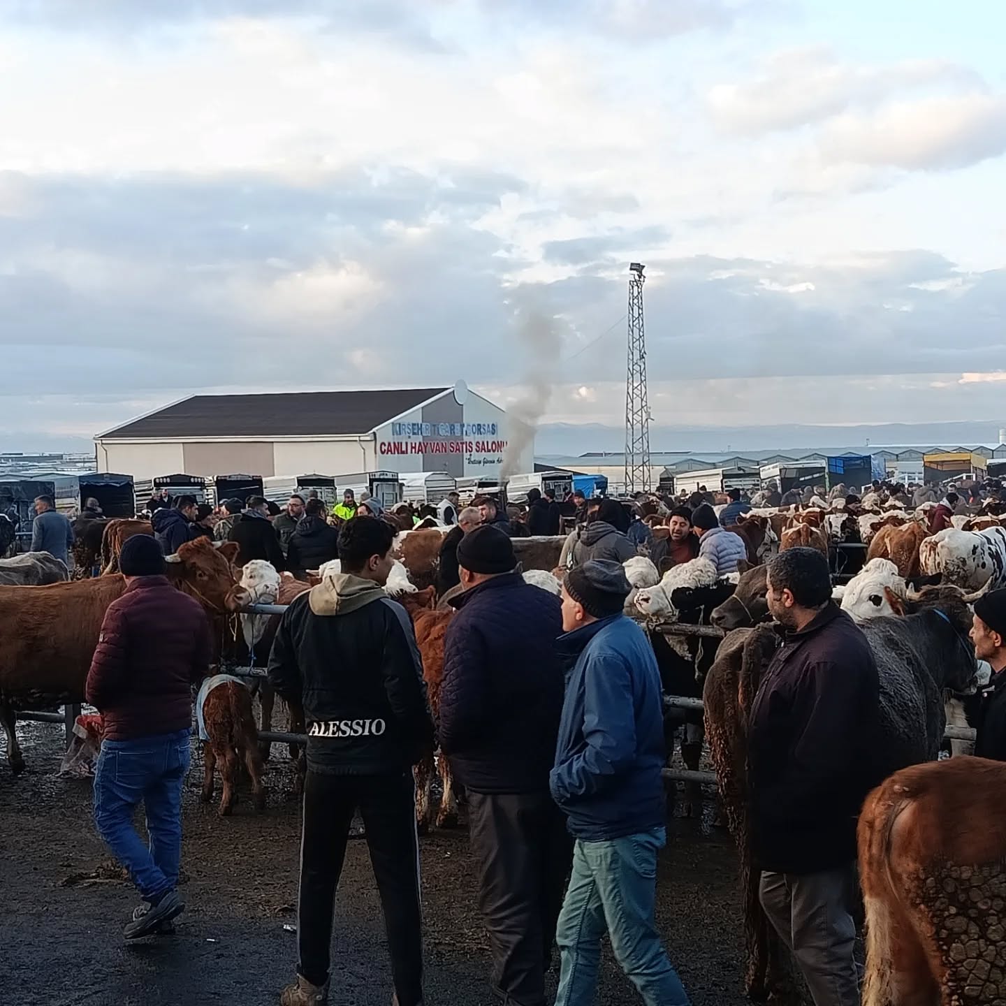 619660018 18114213106720188 8136105840934372786 N