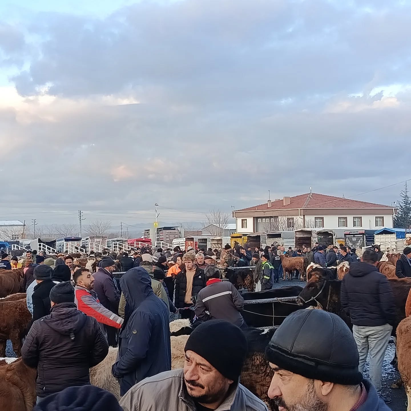 619984461 18114213088720188 3262314408263501023 N