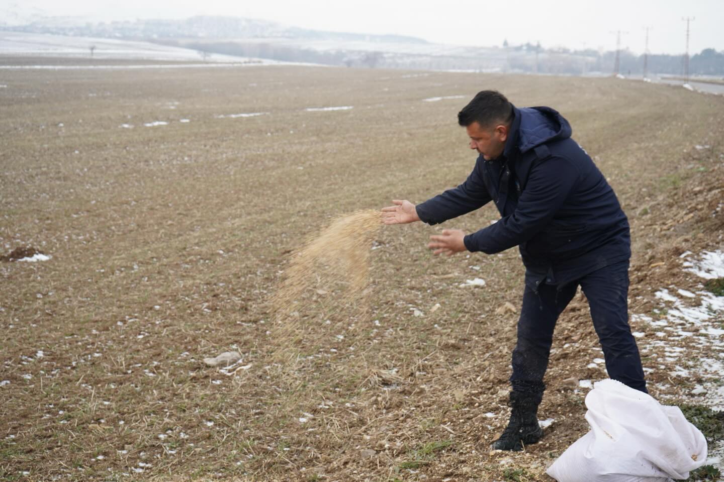 620345602 18163602157407356 131764308393738380 N