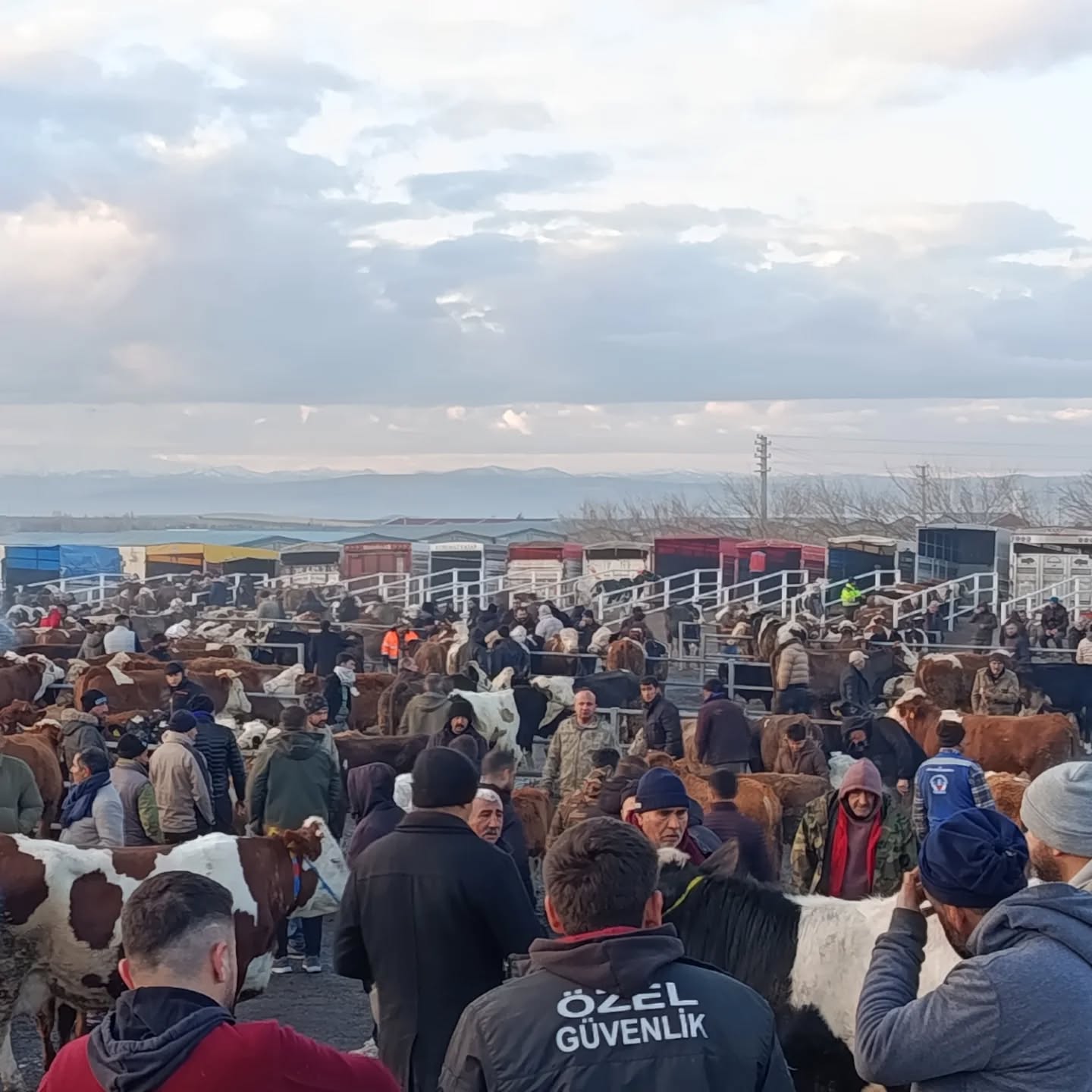 621027056 18114213076720188 439940339609878824 N