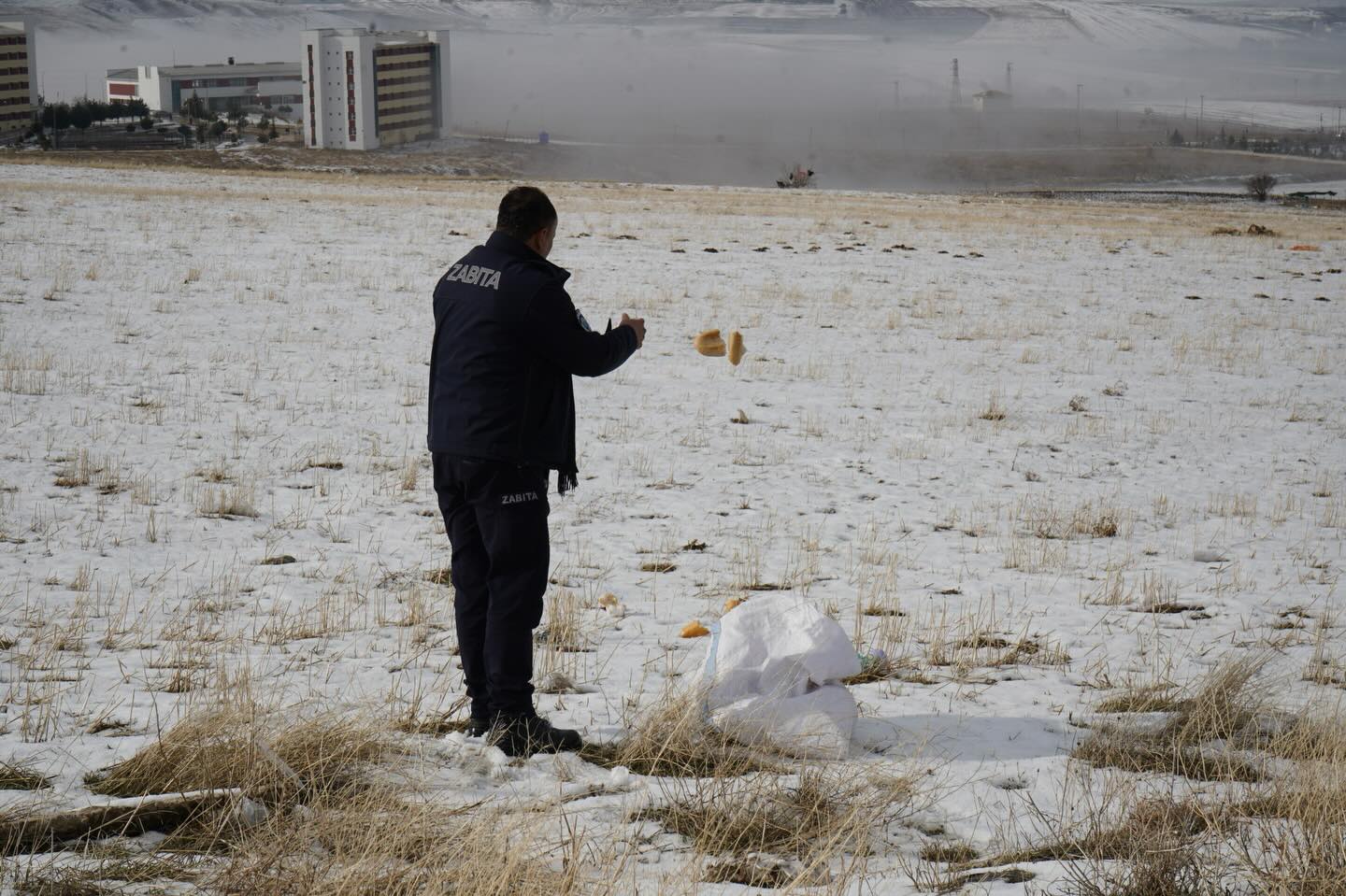 621166688 18163602196407356 904040798330613107 N