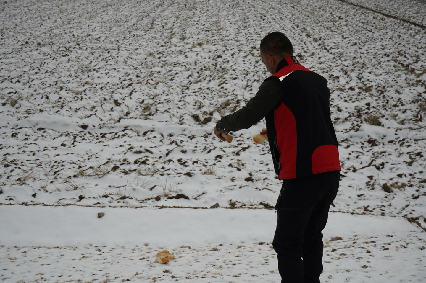 621202242 18163602178407356 5404722341176147913 N