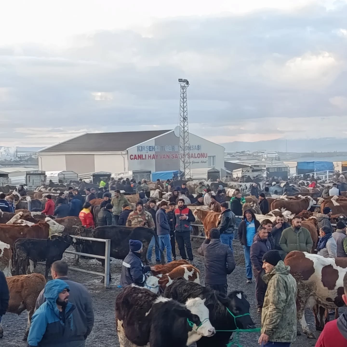 621366670 18114213067720188 8897177049267138624 N