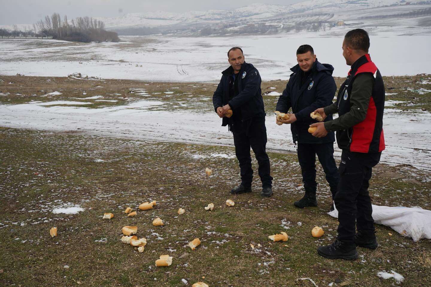 621411599 18163602169407356 7232239105606394553 N