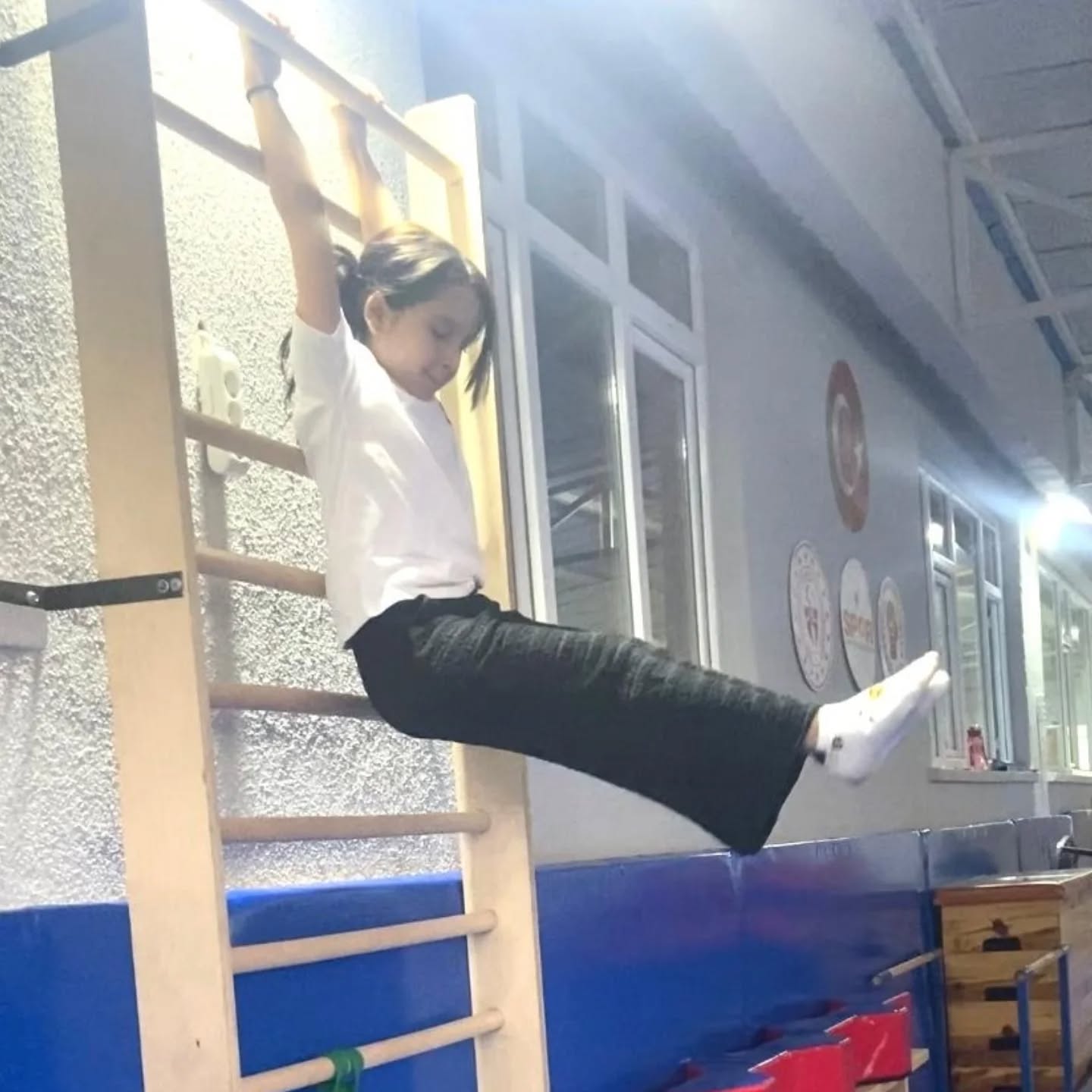 621846092 18343484215231791 815040608596735965 N