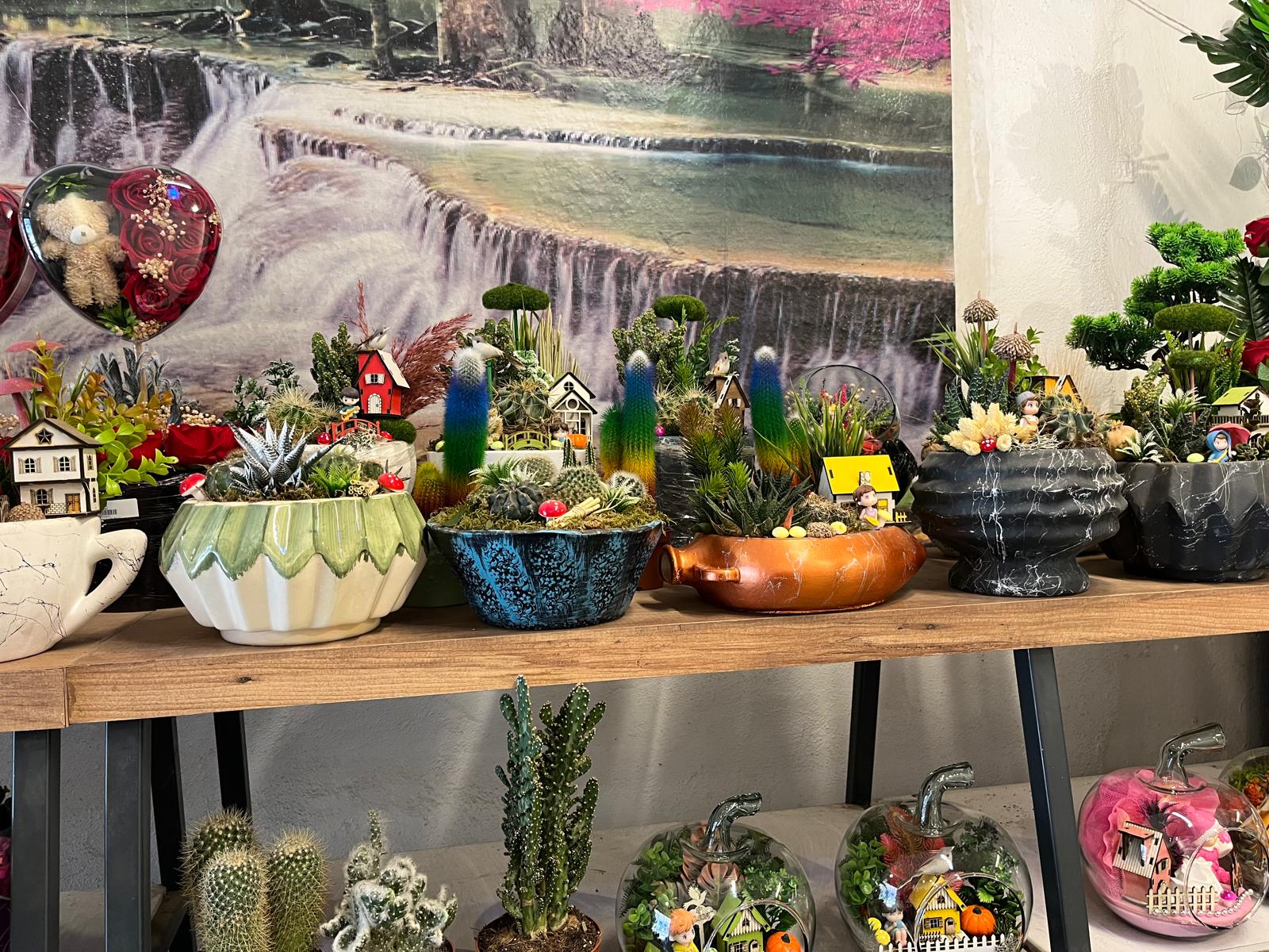 67F615A4 9C39 40E4 Acdf 30Fc6F50Db53