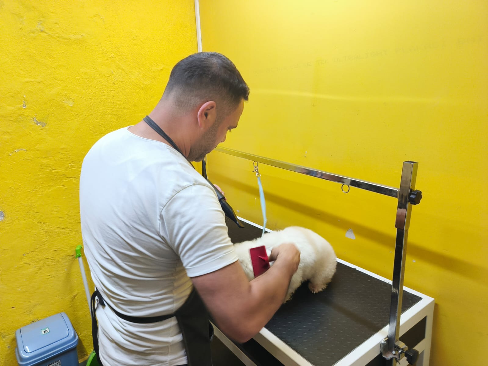 7554058E C61D 4036 96A7 28D8F5B0D125