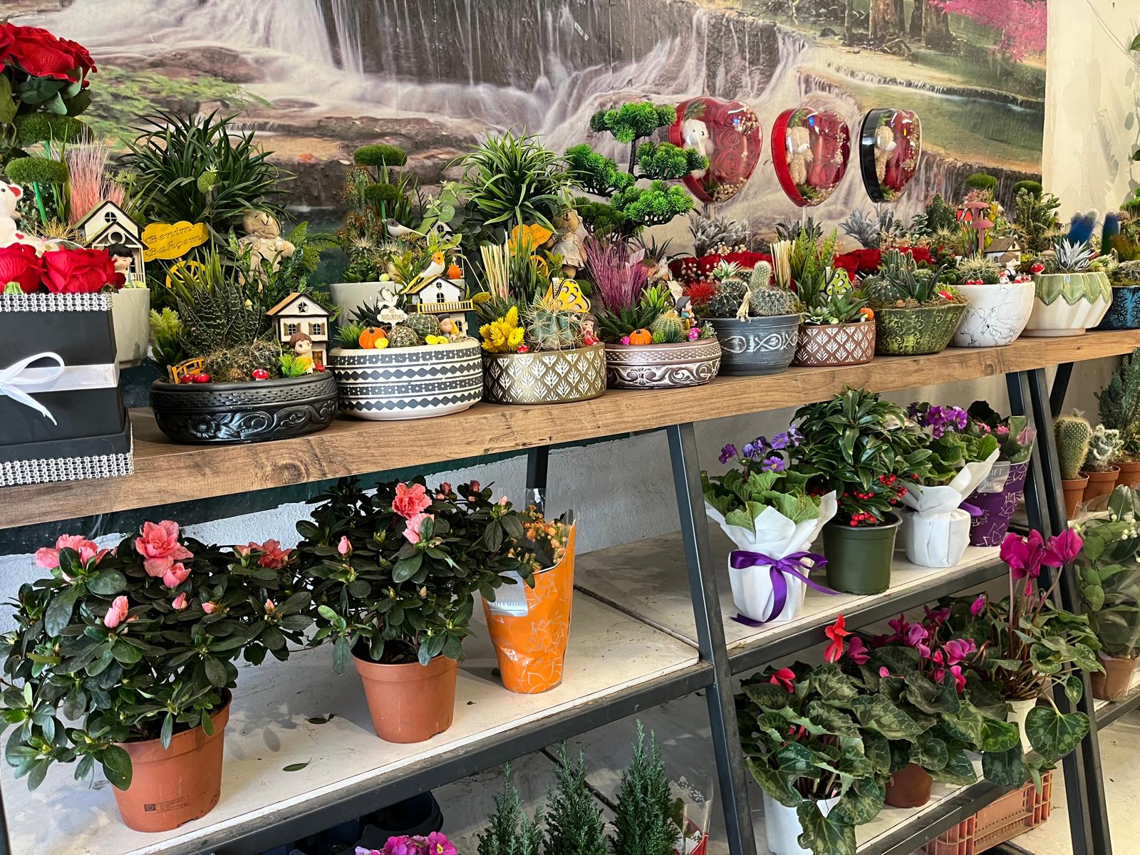 7C2718Ee Ae35 4Bd8 87Cc 81035A71320F