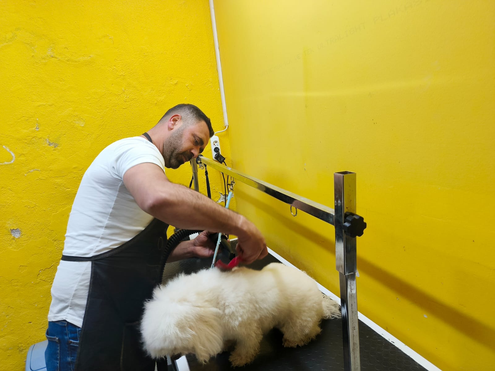 97Ffffcc A07A 4573 984C D70127D88778