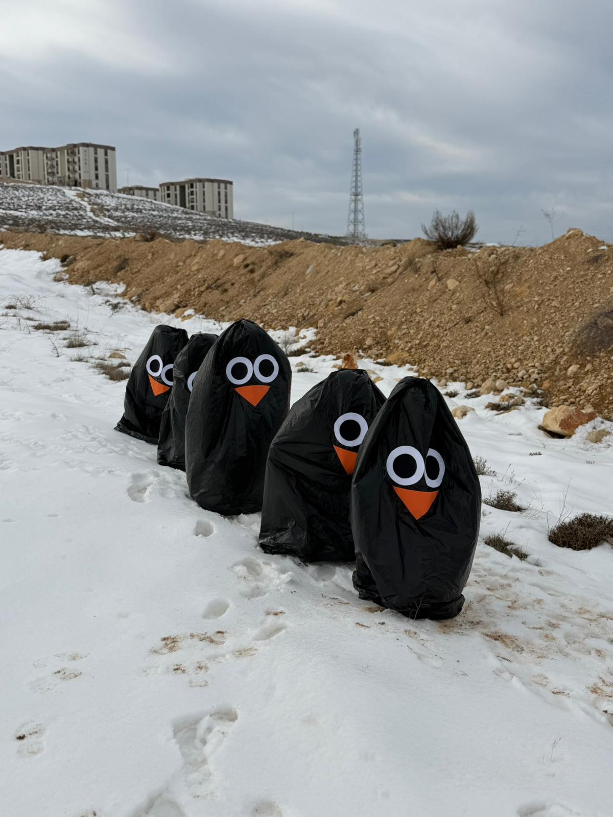 98848199 0069 4A7C 89De 20Fd25Bb5B9C