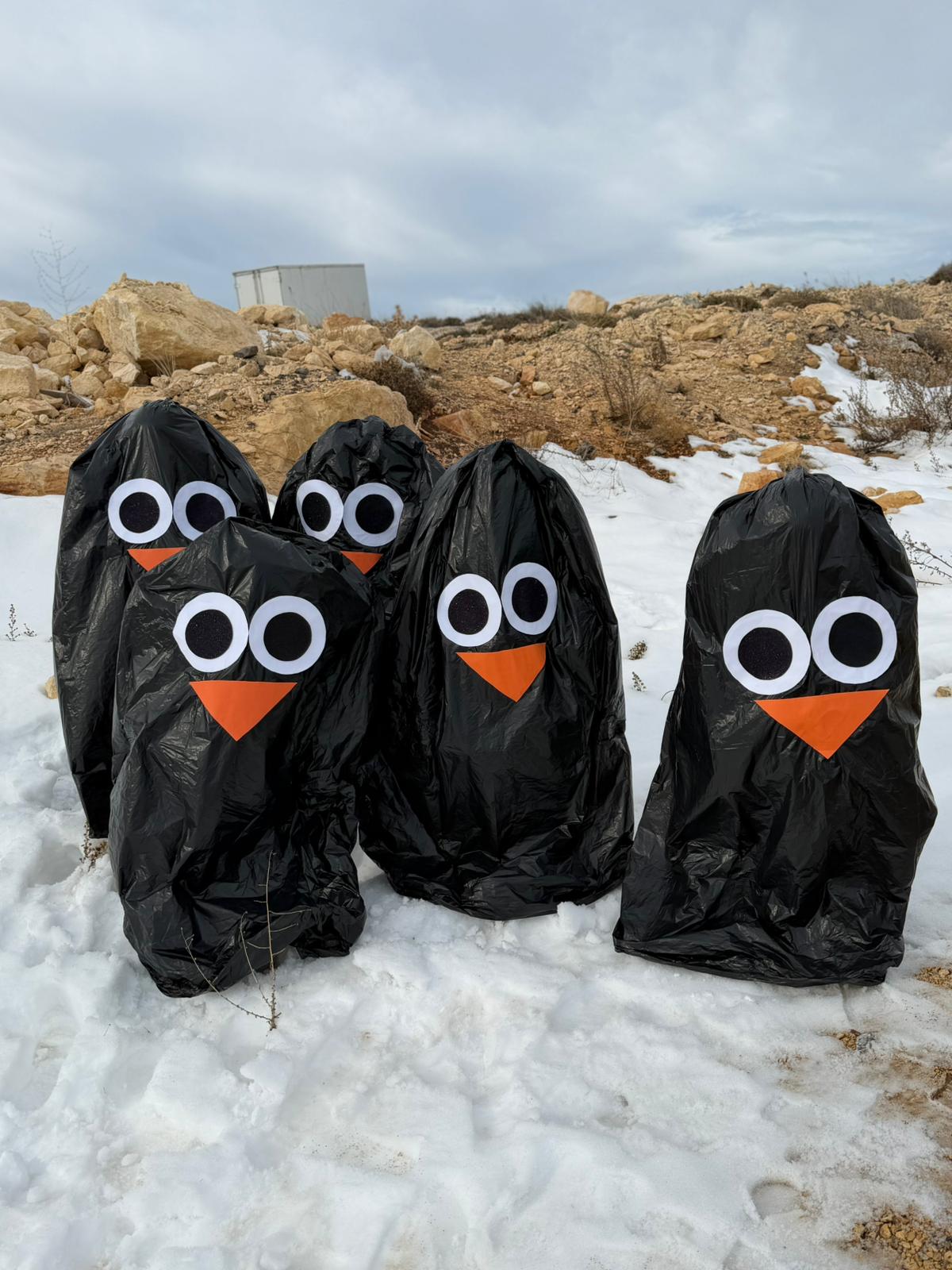 A1B5C770 745D 49Db 9890 4A778E797B3B