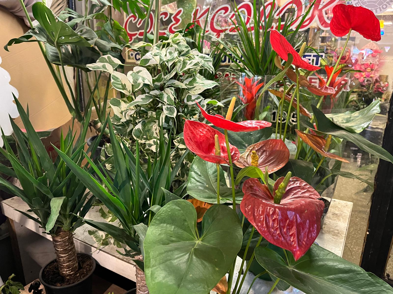 Abf8Cb70 58C9 49B0 Bd3B 9Ccaa79C4336