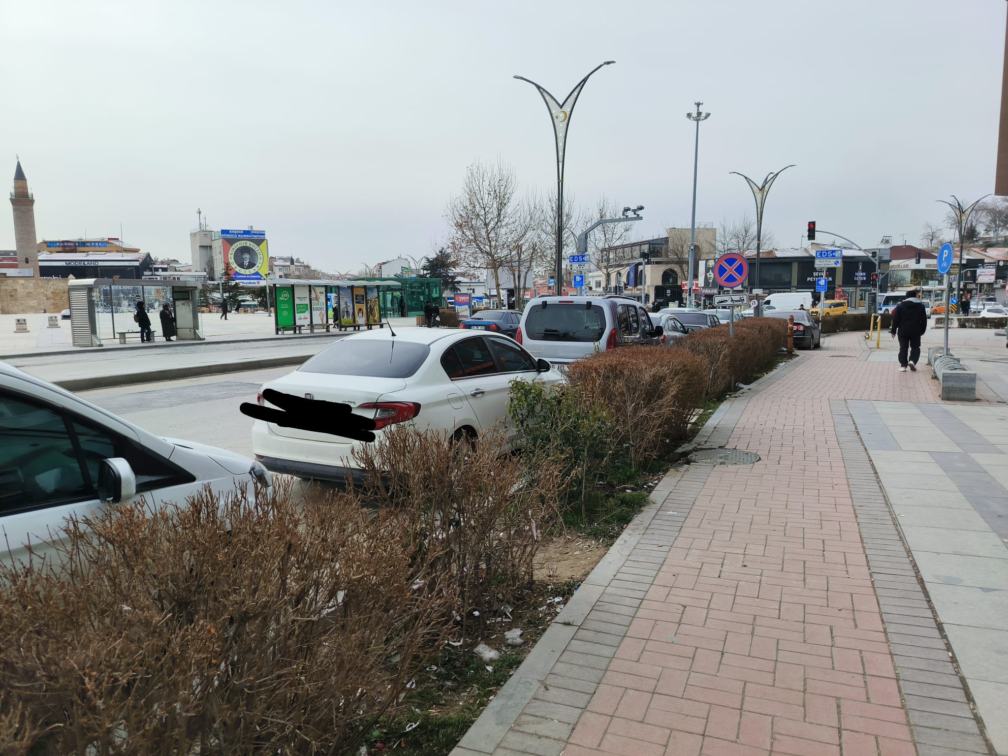 Ae4E3B87 73Da 45Dd 8744 Adc3B9A16A5B