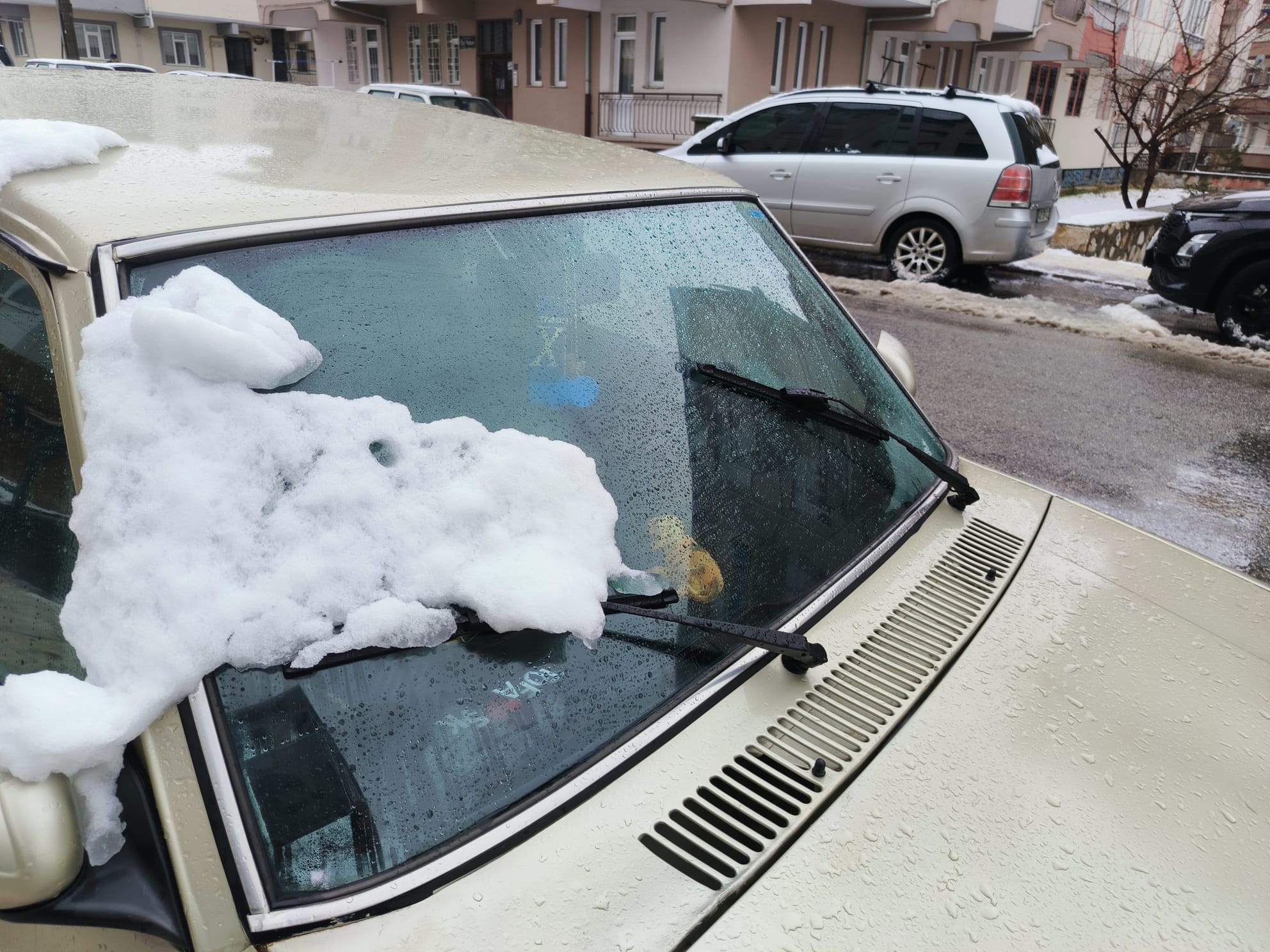 B06Ba224 E2D2 4C5A 9Fdf 06D8Cd5Fe283