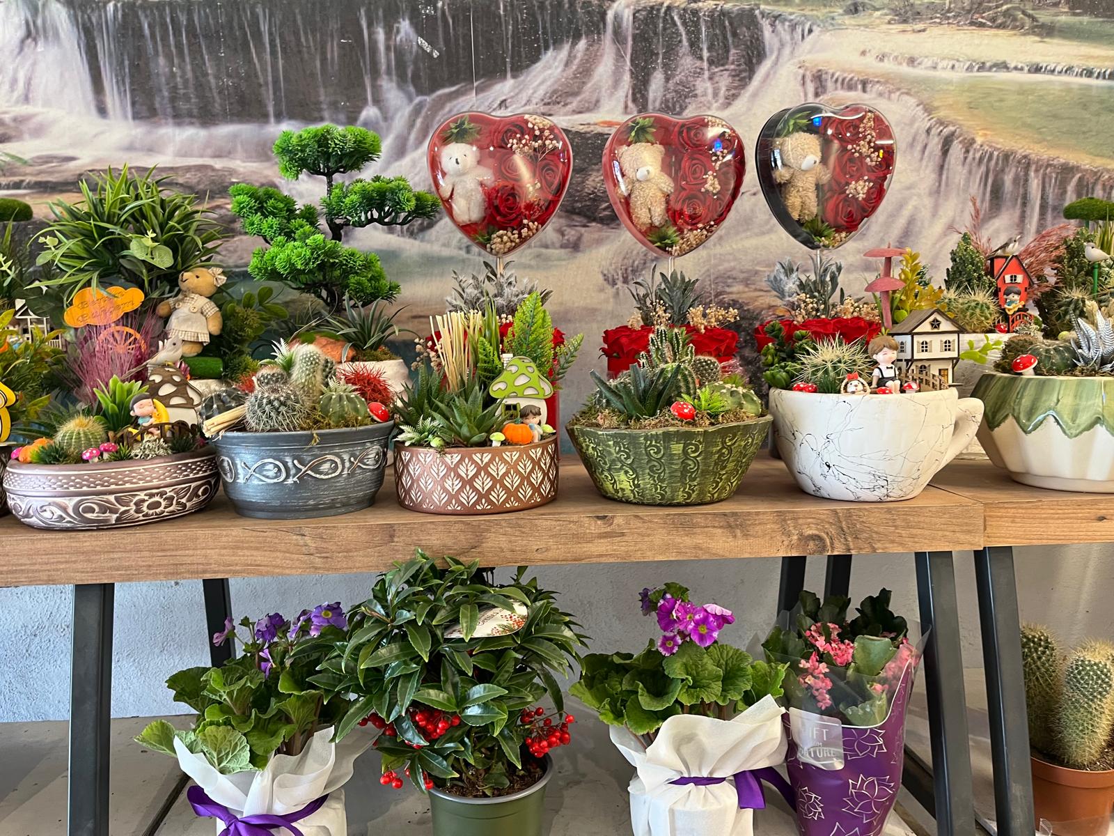 B137Bee7 9572 43Df B0D1 D06E5D7F7439