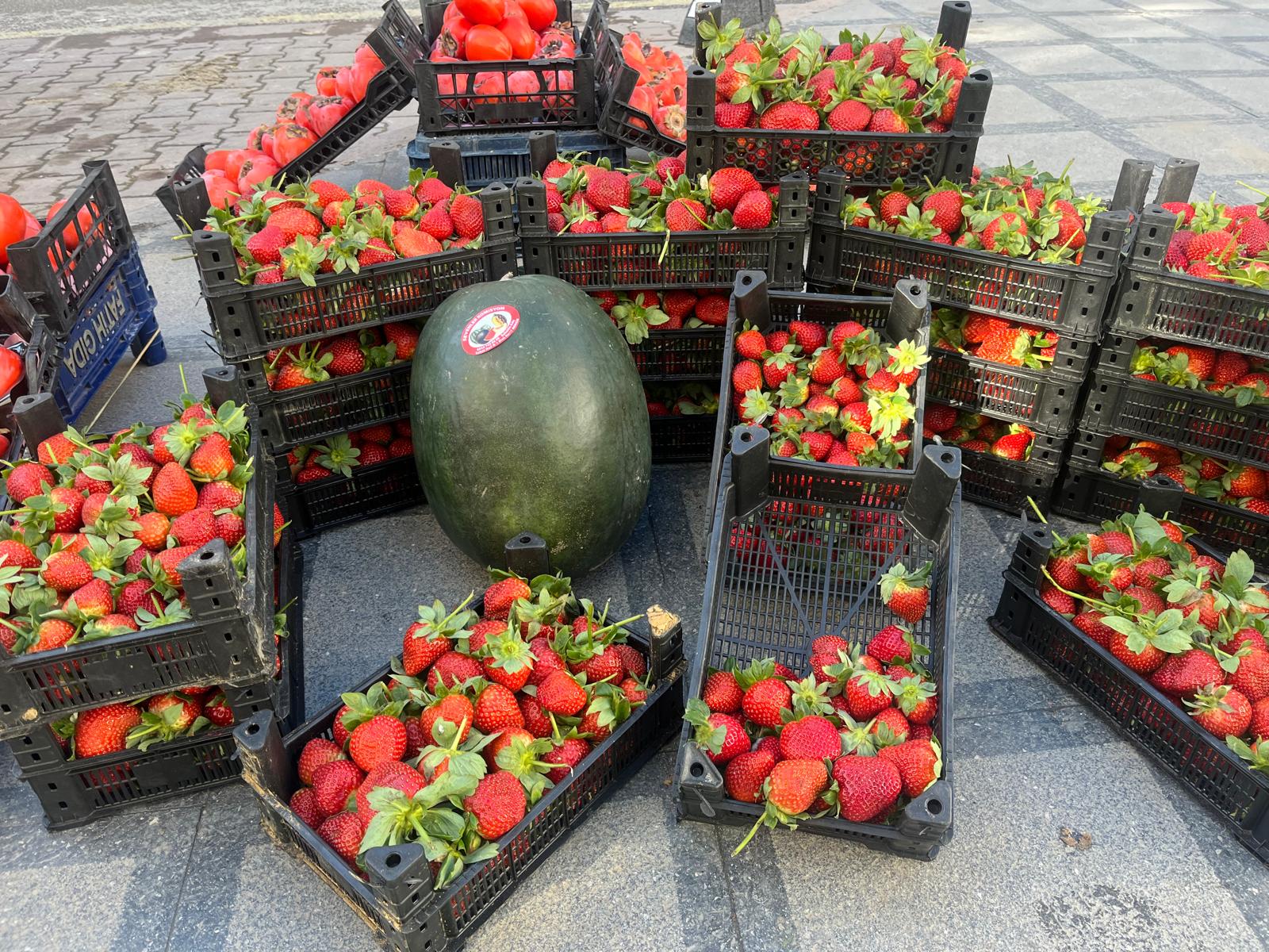 B497Cc87 060C 45D0 B683 Dfd98F96A3B1