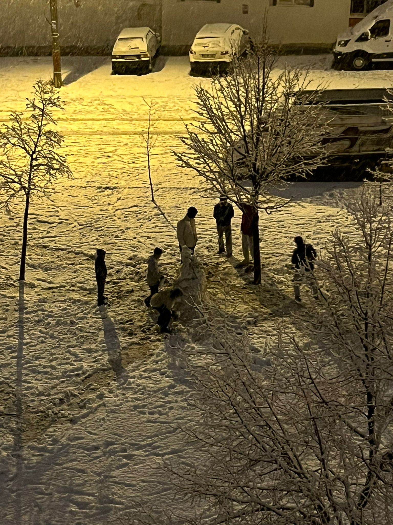 B57Ee4C5 Ca8B 4307 8280 C5Ec7D1Caa60