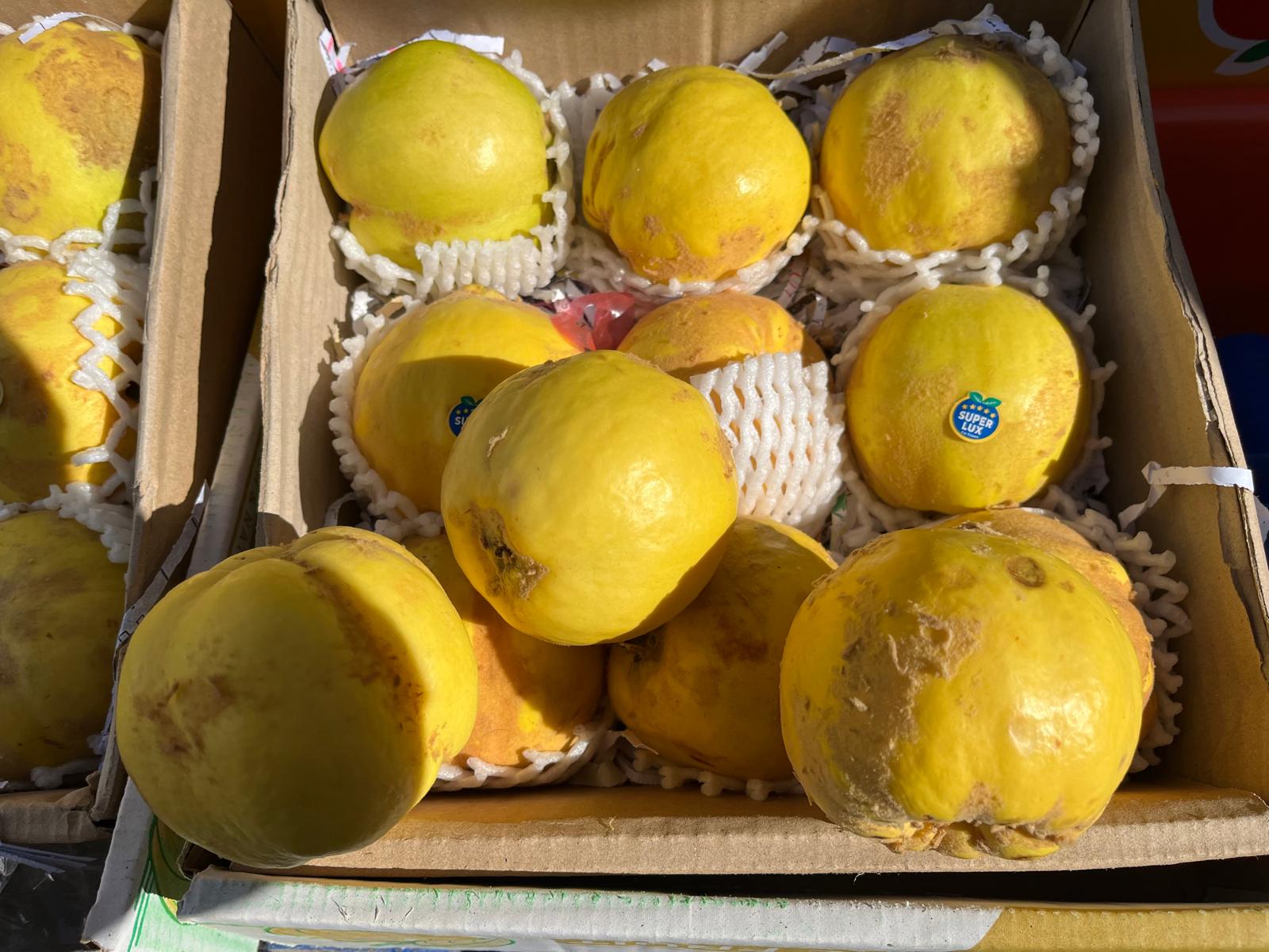 Cbe63133 F104 4Ee7 9F2E 40F7E3289D75