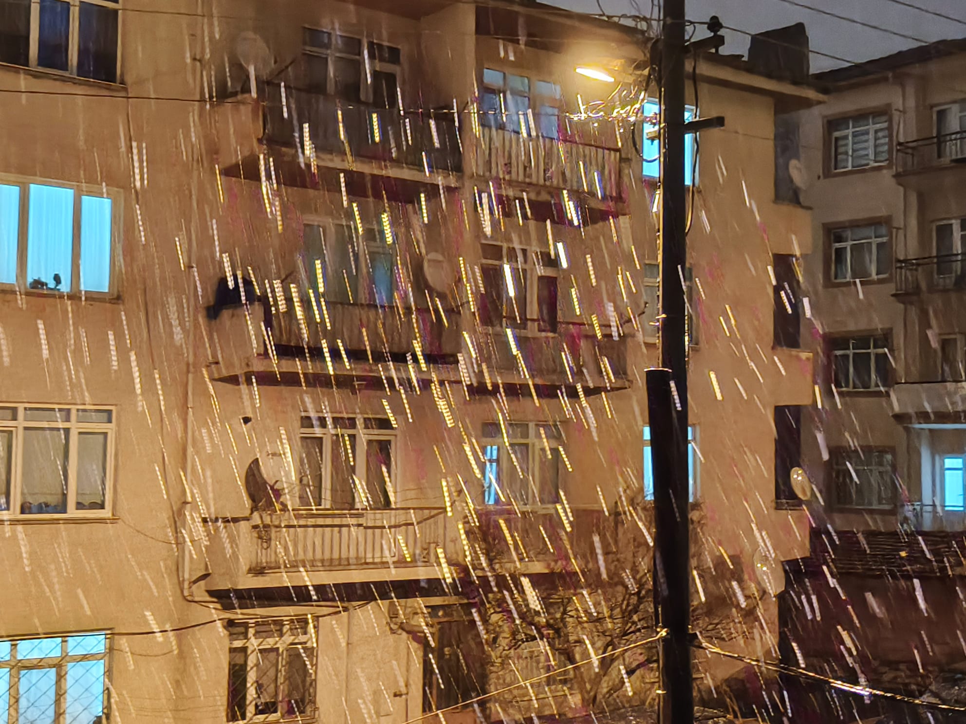 D046B7E9 5Ca9 40F8 8Cc2 E73148A0B0Bf