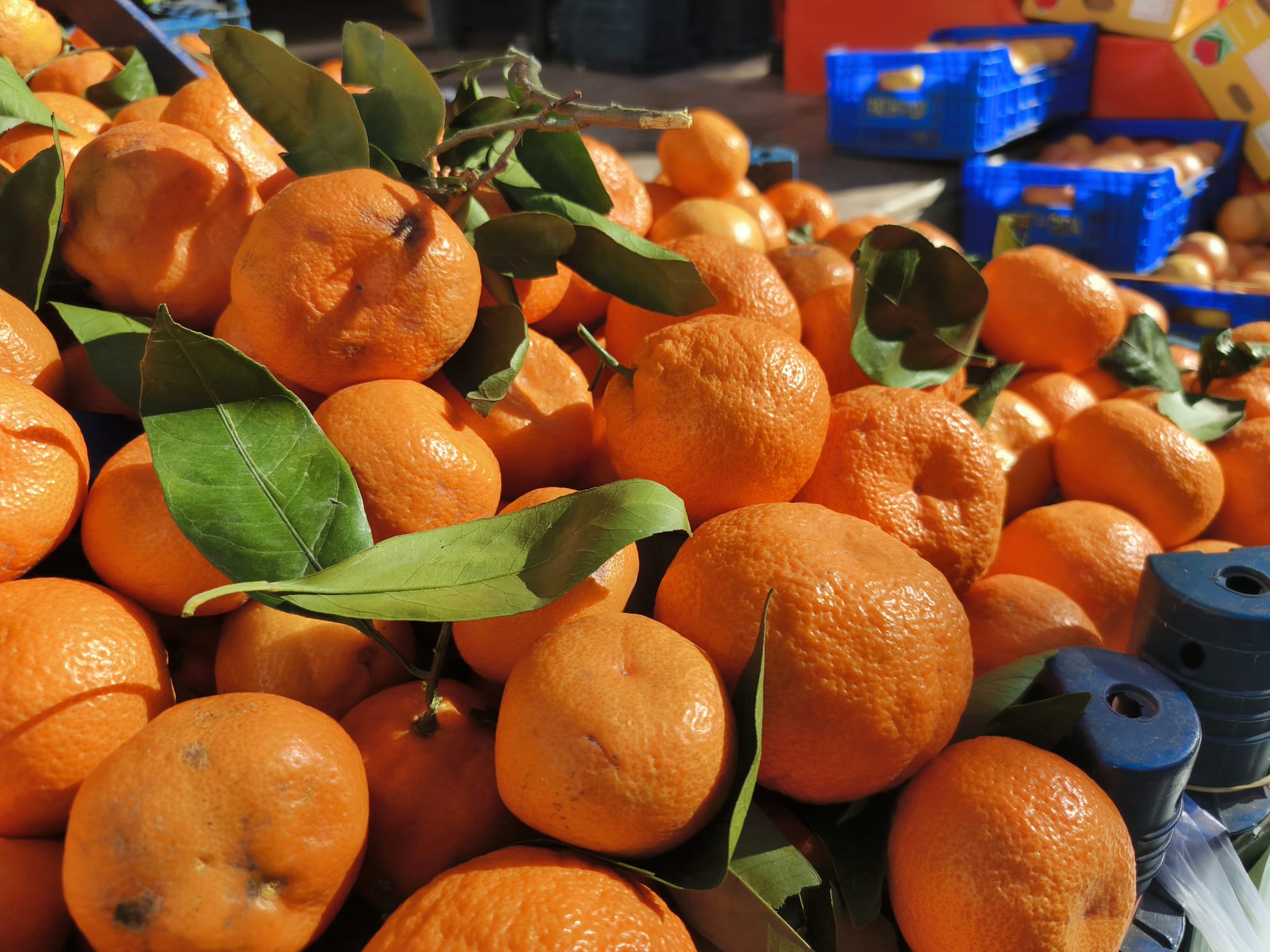 D28B5428 Dc7E 4E5B 9Cf3 860D92Fc7949